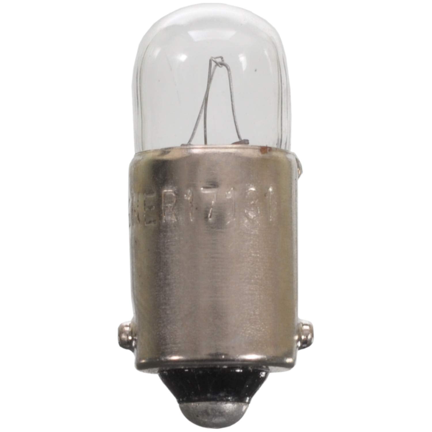 Wagner Lighting BP17131 Standard Multi-Purpose Light Bulb Card of 2