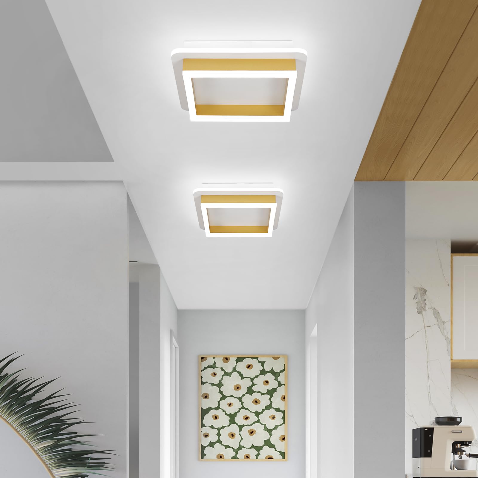 CANEOE LED Ceiling Light Fixture, 6000K Modern Flush Mount, 2 Packs, Gold, Aluminum, Model GD-2CFXBK-C-US-2P