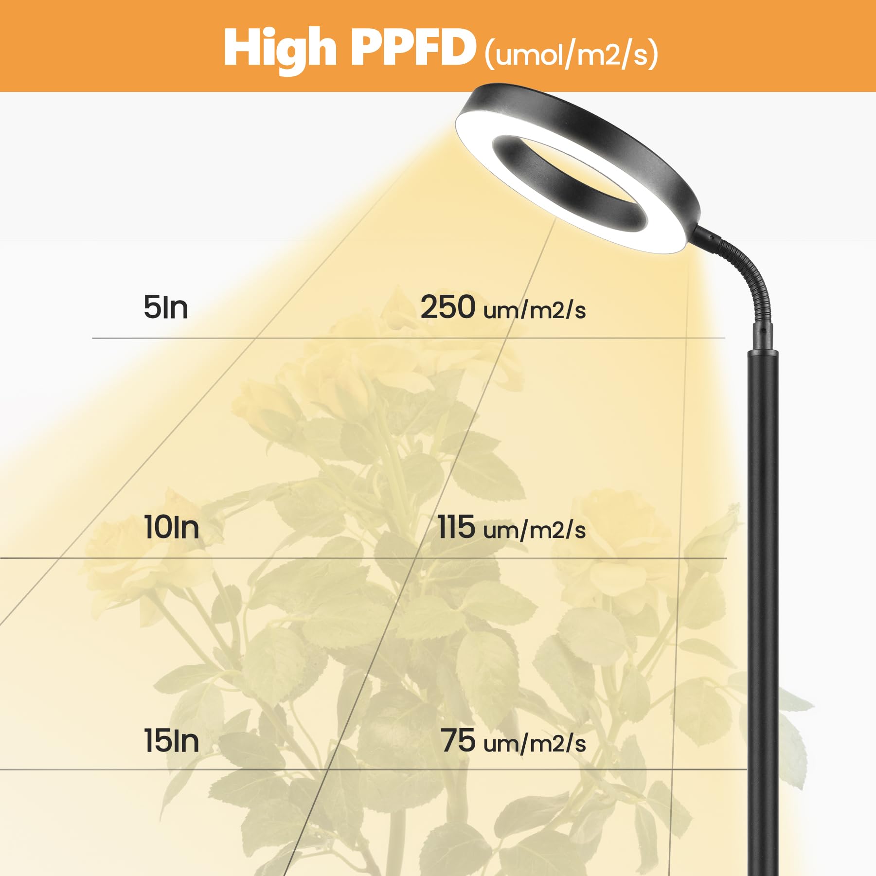 Vsoke Grow Light for Indoor Plants, 20W LED, Adjustable Stand, Off Timer, 10 Dimmable Brightness, Large, Floor-standing Ring Black, Model 24RingBlaV