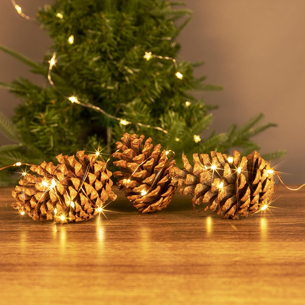 PCORES 100FT Plug in Fairy Lights with Remote Warm White 300 LED Copper Wire LED String Lights for Bedroom Living Room Patio Por