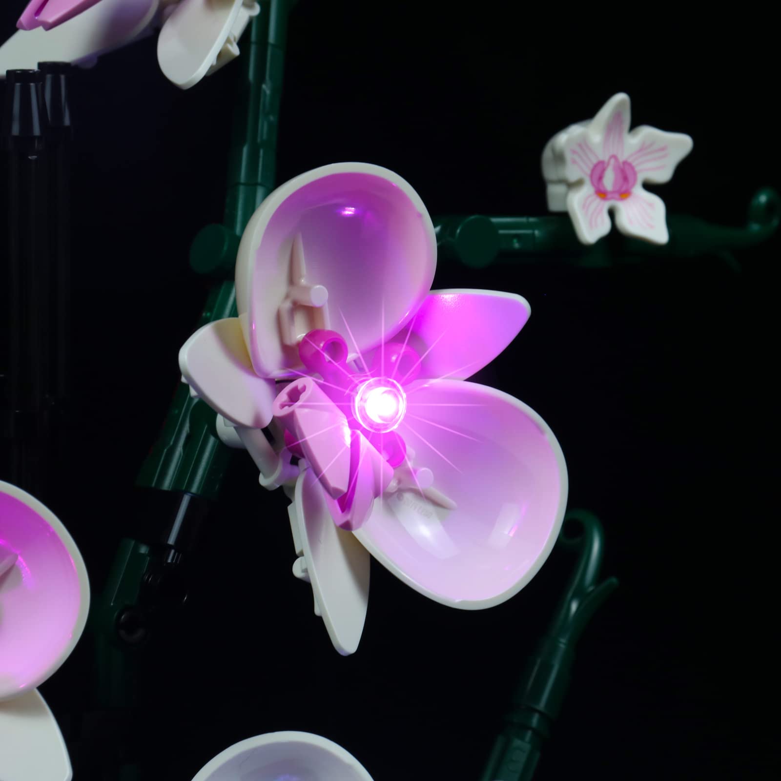 Led Light Kit For Lego Orchid 10311 Plant Decor Building Set; Decoration Lights Build A Succulents Display Piece For The Home Or