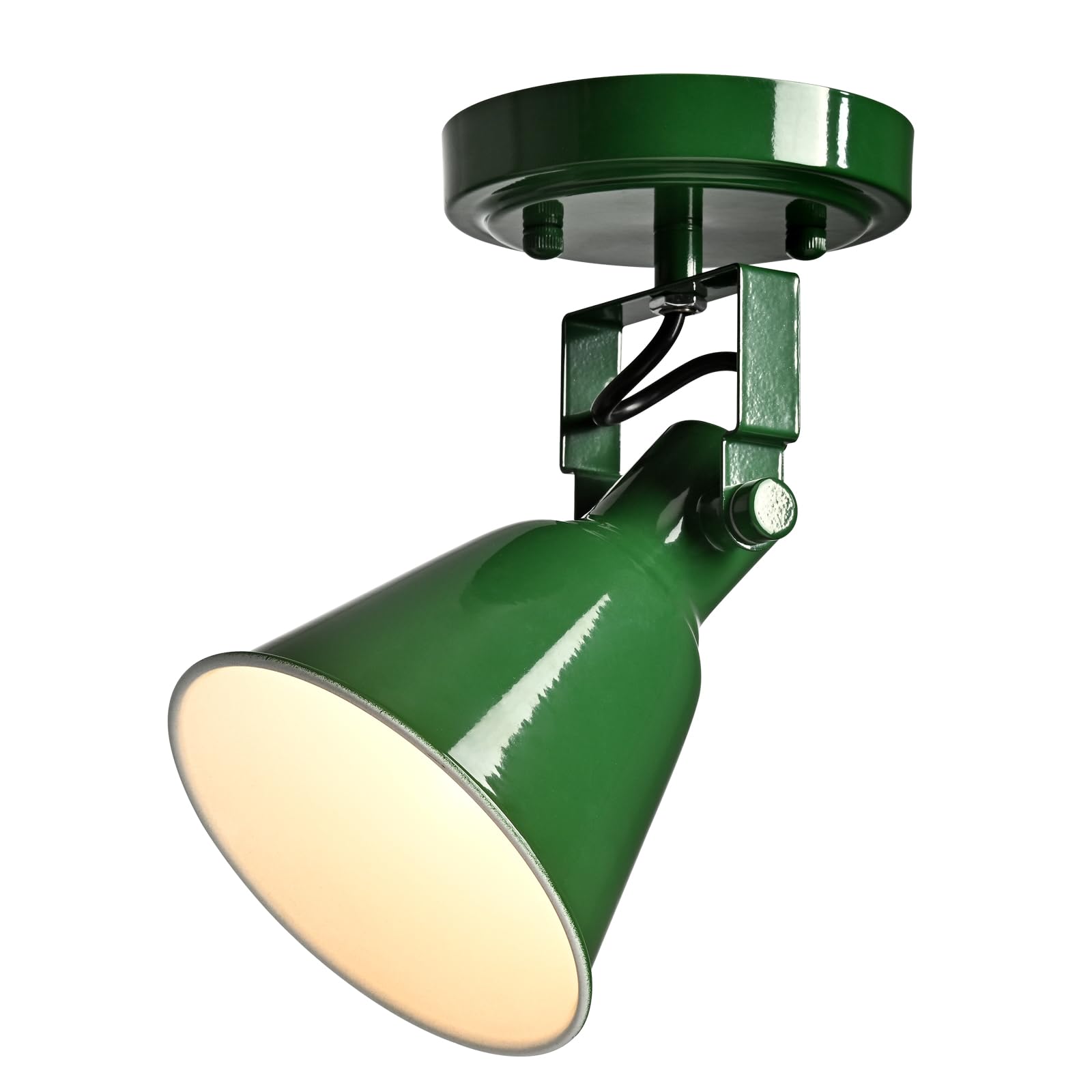 DIRYZON 1-Light Adjustable Green Spotlight, Semi Flush Mount Track Light Ceiling Light Fixture for Bedroom, Kitchen, Hallway & W