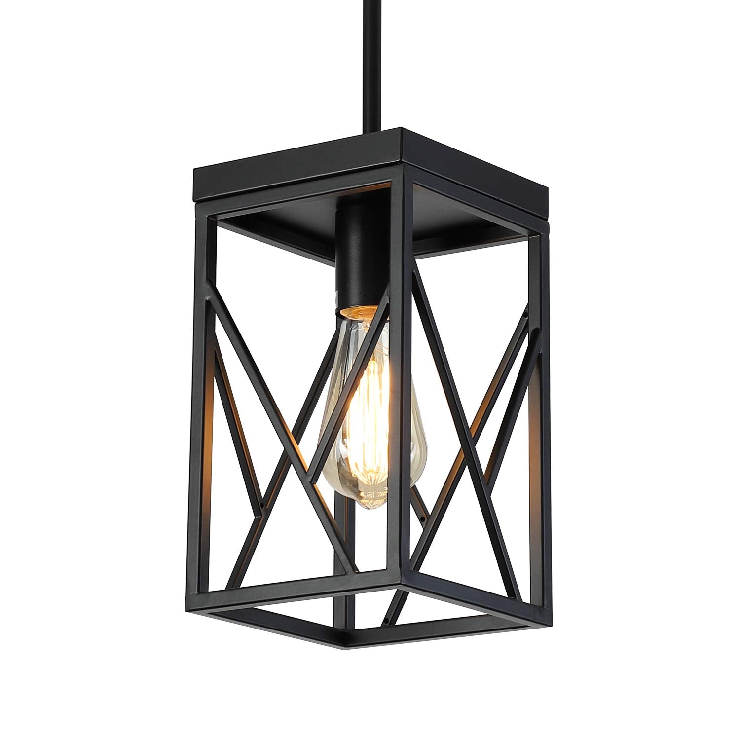 Fivess Lighting Modern Mini Pendant Light, One-Light Metal Cage Fixture, Adjustable Rods, Black, Model CA5201-2