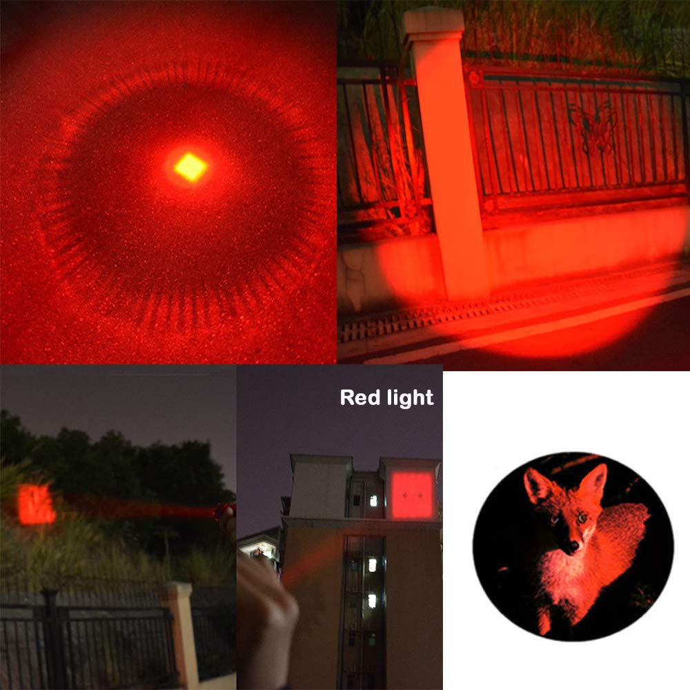 WAYLLSHINE 3-Mode Flashlight Pack of 5 - Red, Green, Blue, UV & White LED Lights, Model SK68-ColorLight-3M-5P-Multi