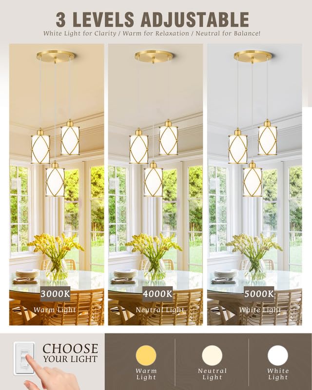 Osimir Brushed Gold Pendant Light Fixtures, 3-Light Dining Room Chandeliers With Frosted Glass, Modern Cluster Hanging Pendant L