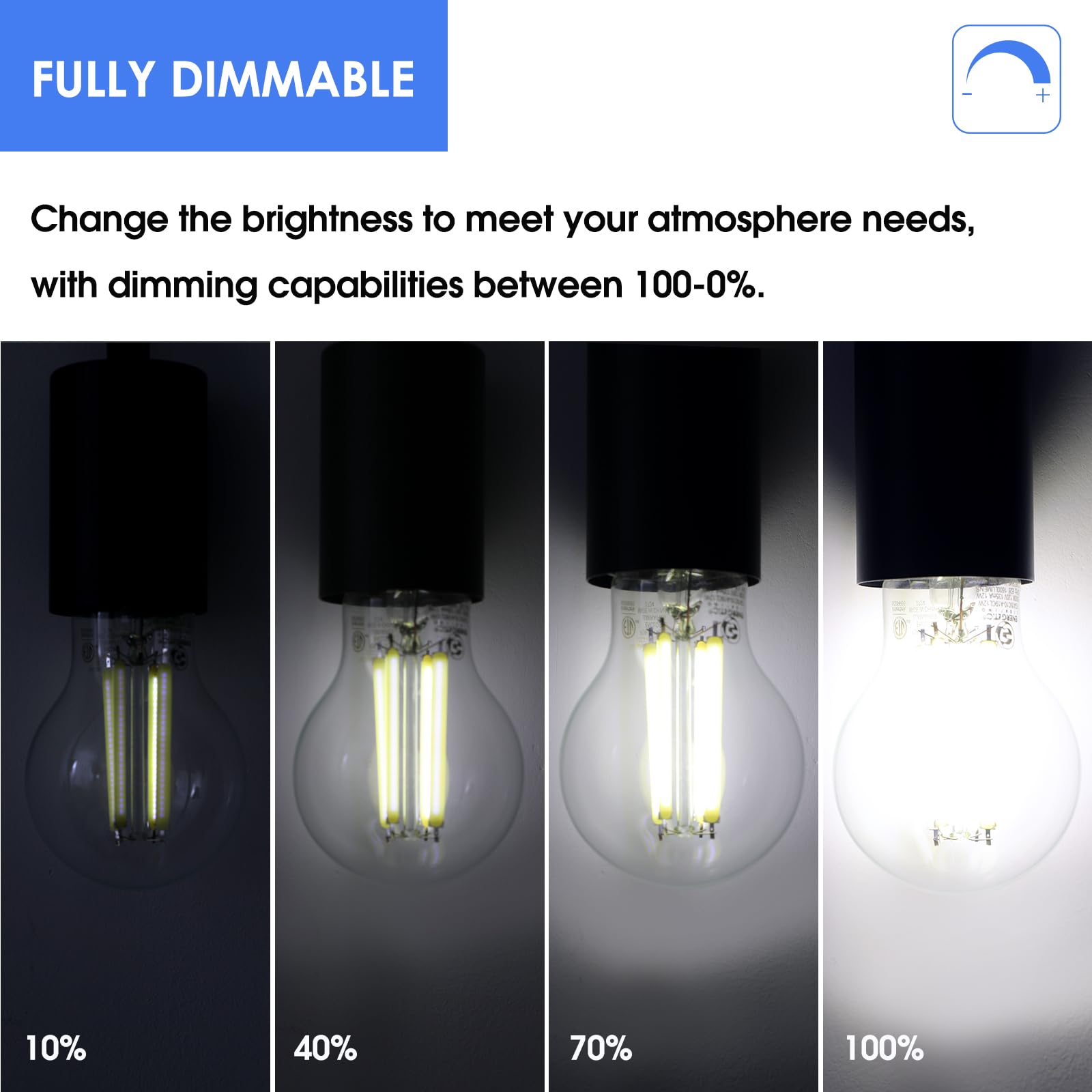 E ENERGETIC LIGHTING A19 LED Edison Light Bulb, 12W/100W, 1600LM, 5000K Daylight, Glass, 4-Pack