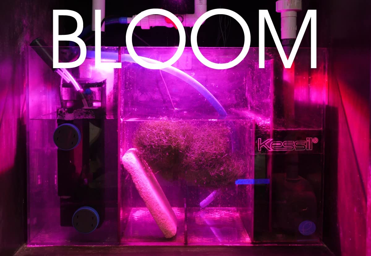 Kessil H160 Tuna Flora Led Refugium Grow Light
