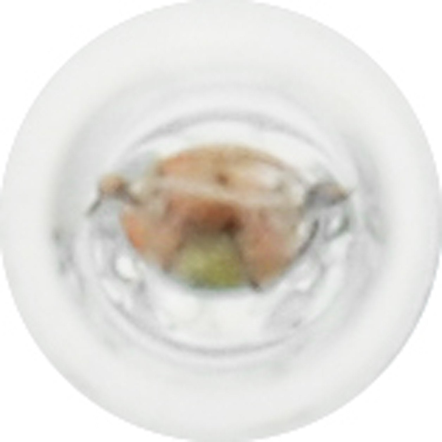 SYLVANIA 73 Miniature Bulb - 10 Pack, Glass, Standard Size, Model 73.TP