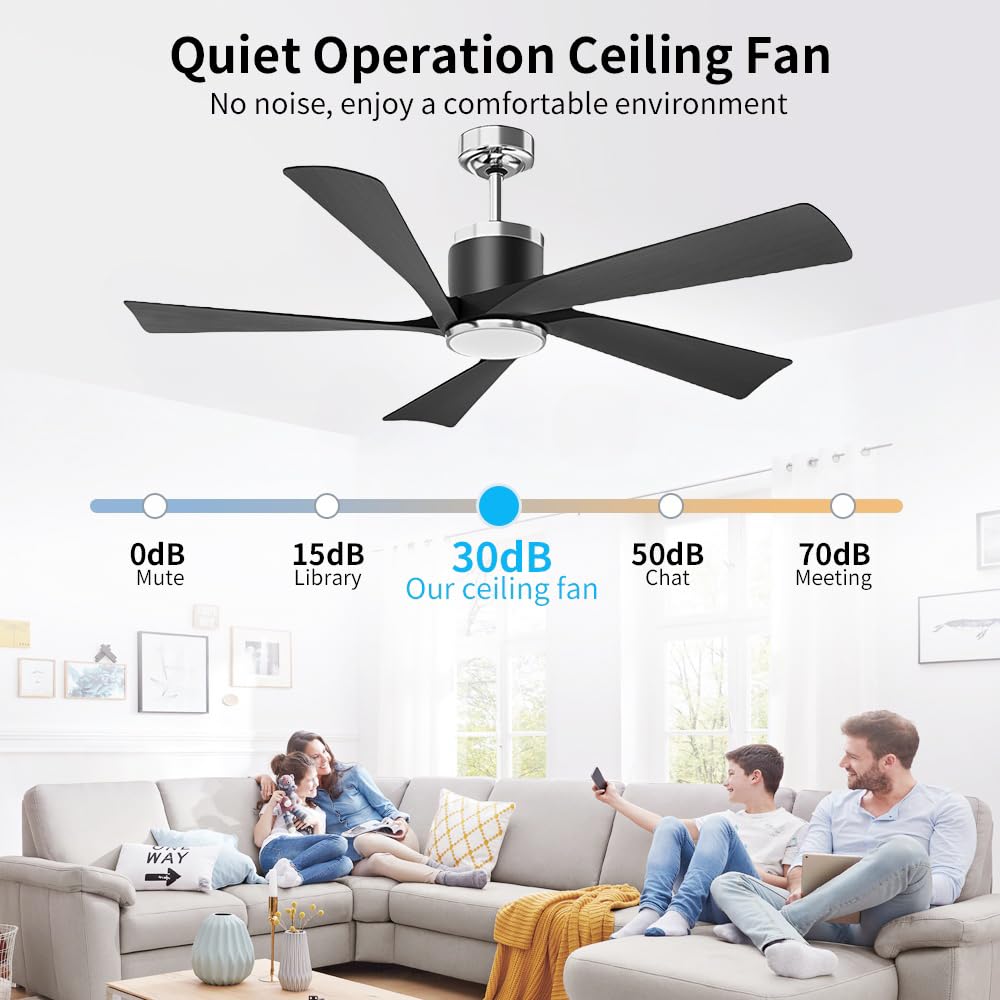 TXCSLY 52'' Modern Ceiling Fan with Lights, Remote Control, 5 Blades, Black, Indoor/Outdoor, Model HYF-CF-52