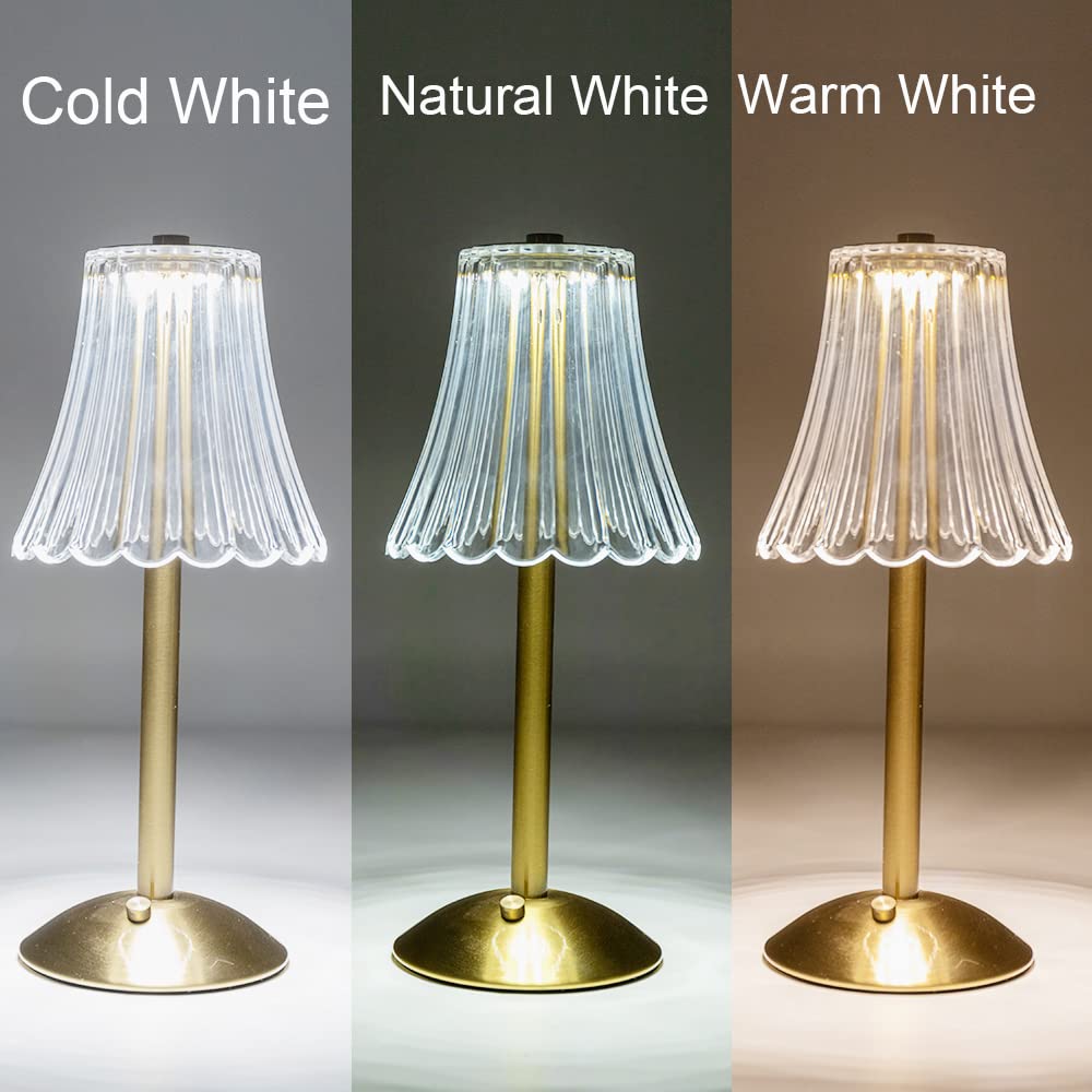 HEQET Cordless Table Lamps for Home,Table,Dining Room, Gold Rechargeable Lamps, USB Charge 12 Tall LED Brass Portable Outdoor