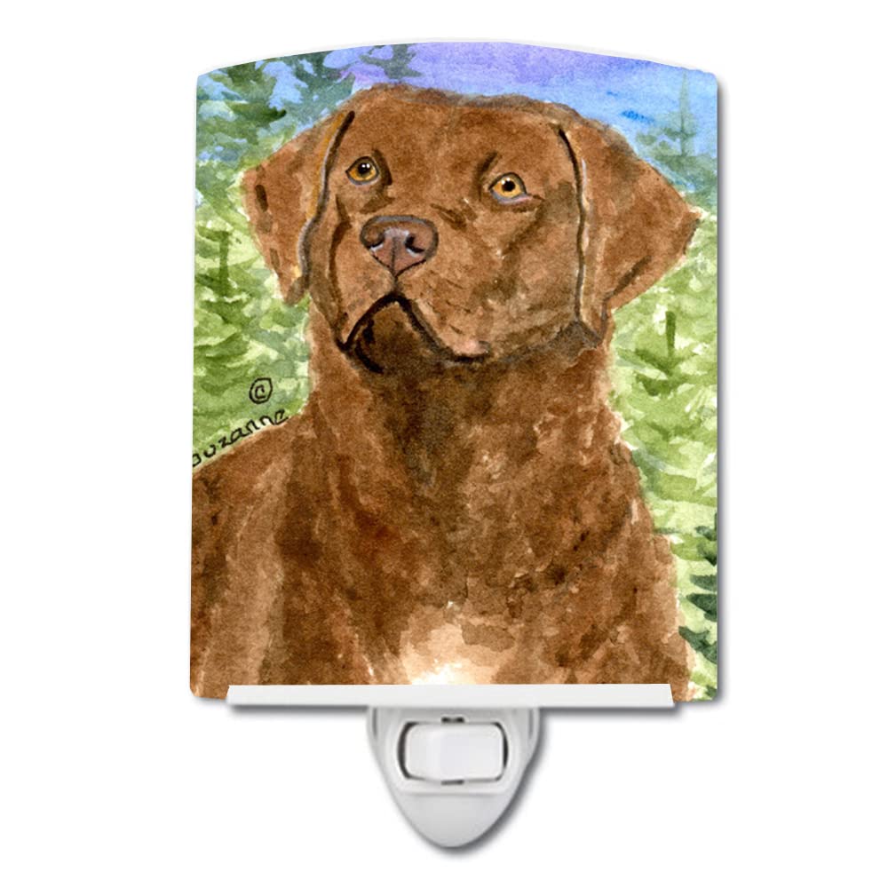 Carolines Treasures Ceramic Night Light, Chesapeake Bay Retriever, 6x4x3 inches, Model SS8933CNL, Ideal for Bedroom and Nursery