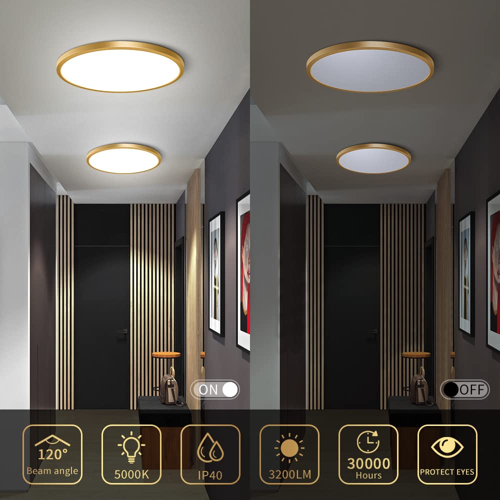 12 Inch Gold Led Ceiling Light Flush Mount, 5000K Daylight White Flat Led Ceiling Light, 24W 3200Lm, Round Low Profile Gold Ceiling Lights Fixture For Bedroom, Living Room, Dining Room (2 Pack)