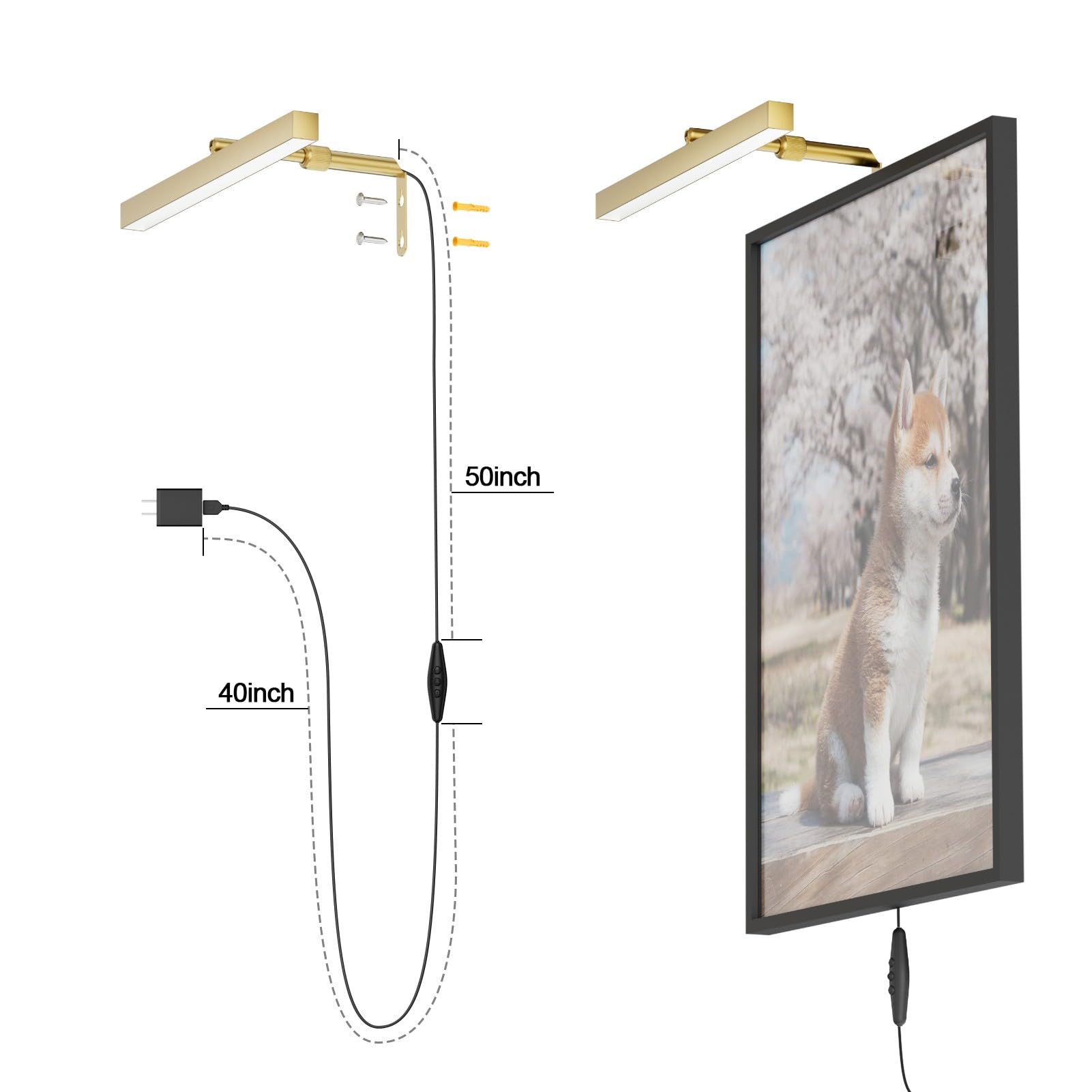 Coinmit 4W Plug In Picture Light For discomfort-reducingtings With Remote Control  12 Led Art Display Lighting For Gallery  Dartboard  Artwork  Gold Wall Mounted Picture Frame Light