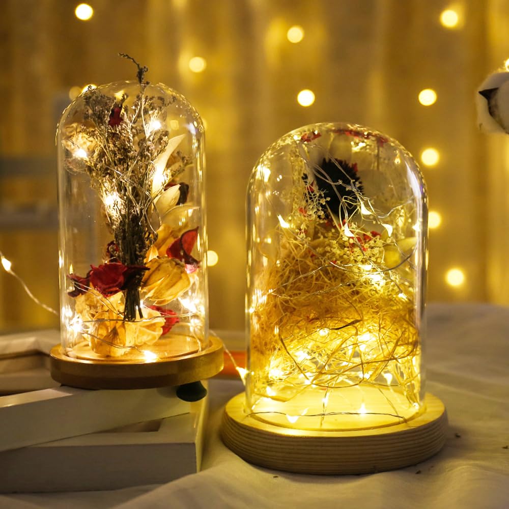 Bqzyx+ 2 Pack Usb Fairy Lights Usb Powered String Lights Warm Yellow 5 Meters 50 Lamp Beads Led Christmas Lights Fairy String Lights Led Light String (Warm Yellow)