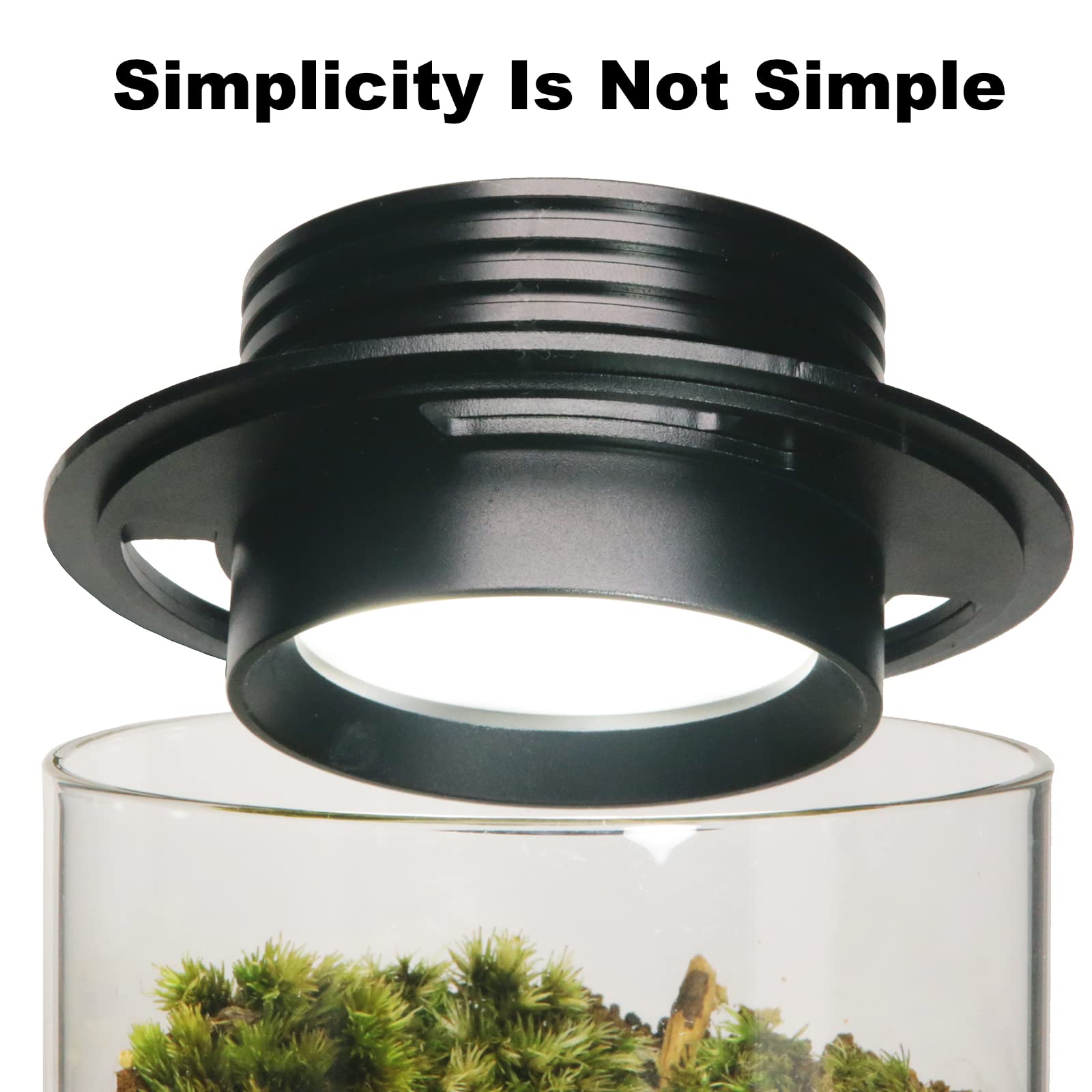 Desktop Glass Plant Terrarium With Grow Light (H:7.8&quot; D:4&quot;), For Succulent, Moss, Miniature Gardening Landscape, Betta Fish Tank, Indoor Plant Growth, Office Home Decoration, Plant Lovers Gifts