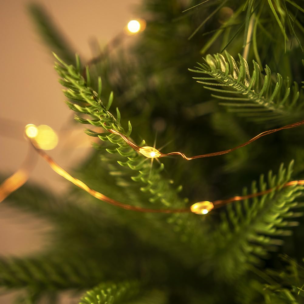 PCORES 100FT Plug in Fairy Lights with Remote Warm White 300 LED Copper Wire LED String Lights for Bedroom Living Room Patio Por