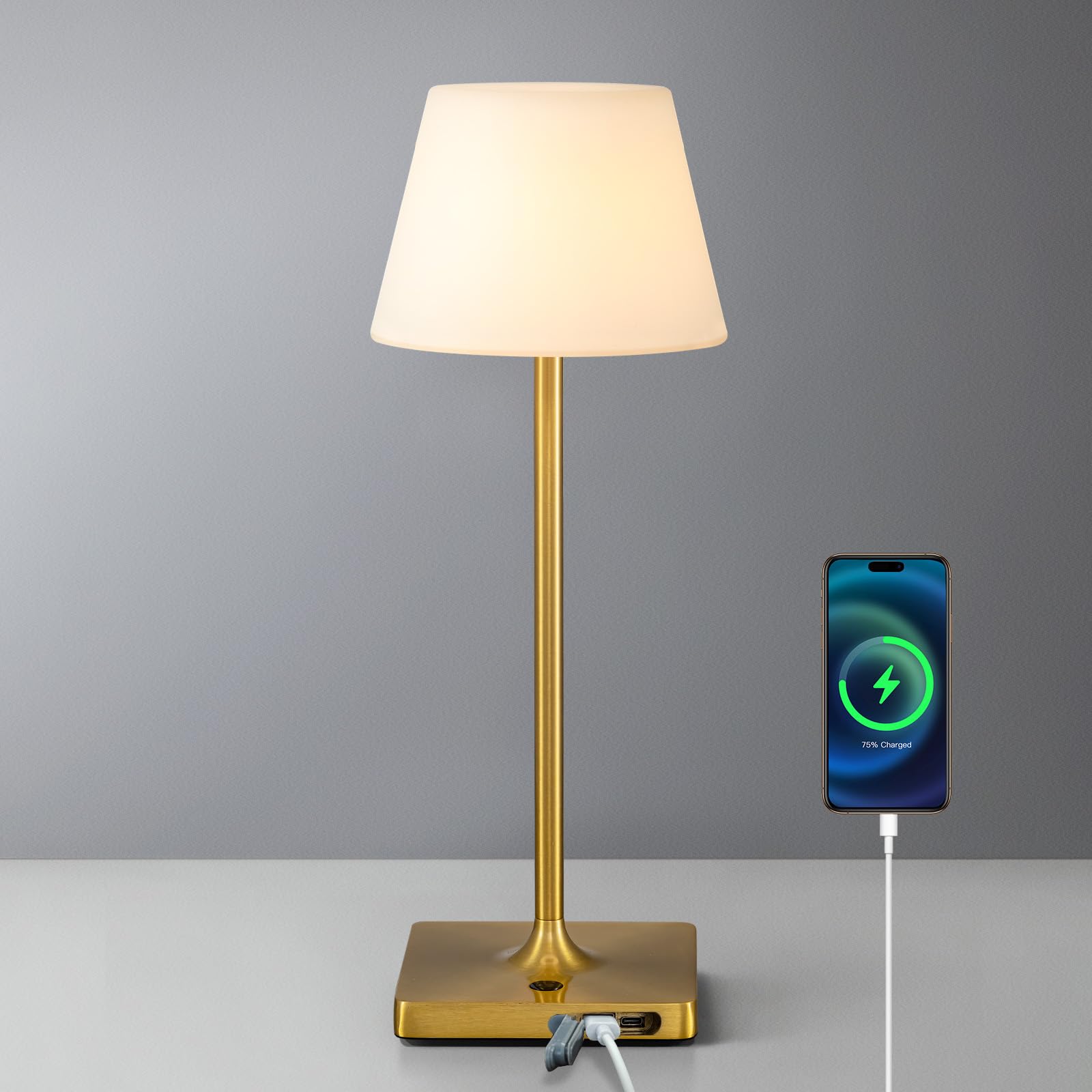NEWSEE LED Cordless Table Lamp, Rechargeable Dimmable Light, 14.5in, Gold + White PE Plastic, Model AMZ-TBL-007