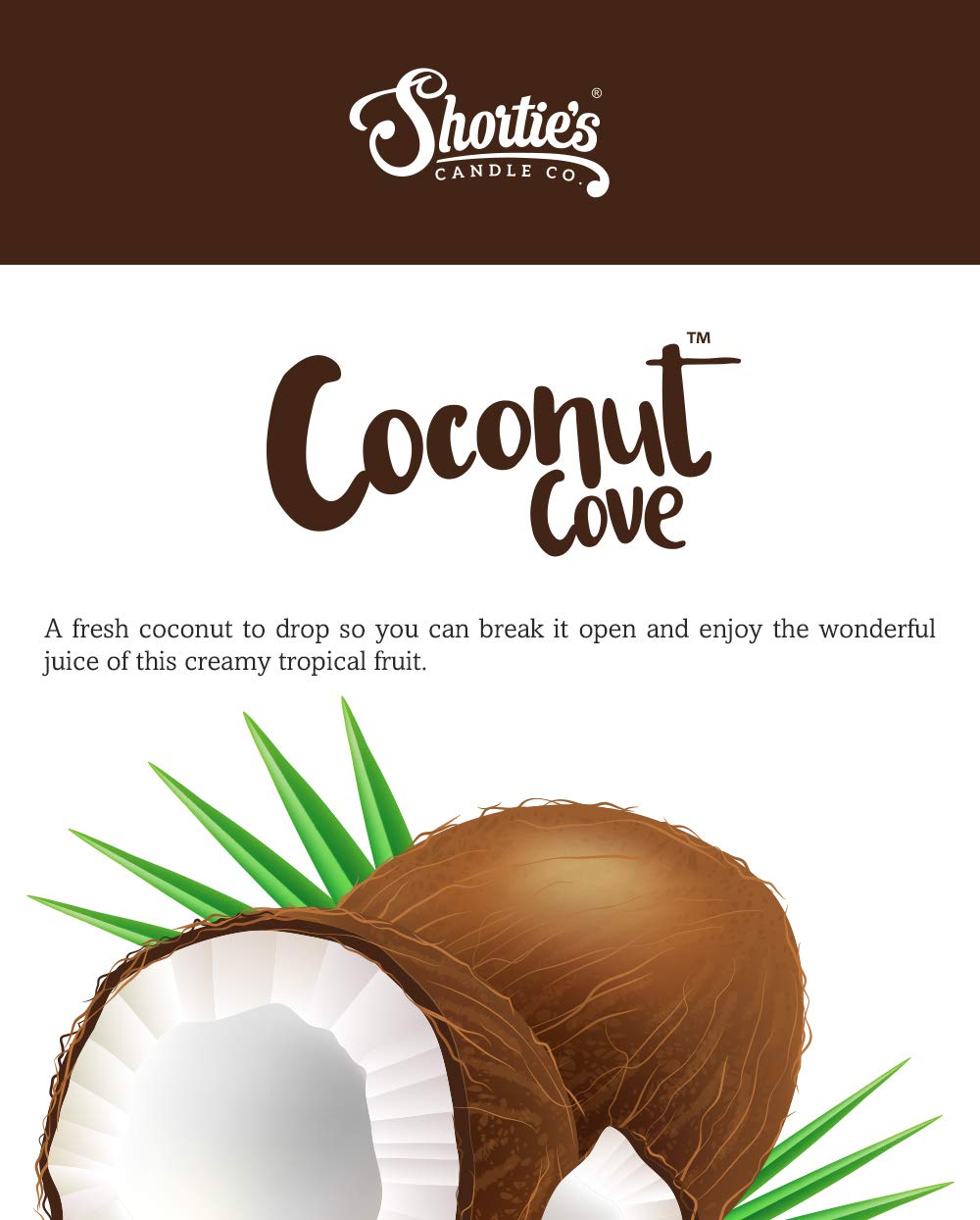 Coconut Cove Premium Tealight Candles - 6 White Highly Scented Tea Lights - Beautiful Candlelight - Made In The Usa - Fruit & Be