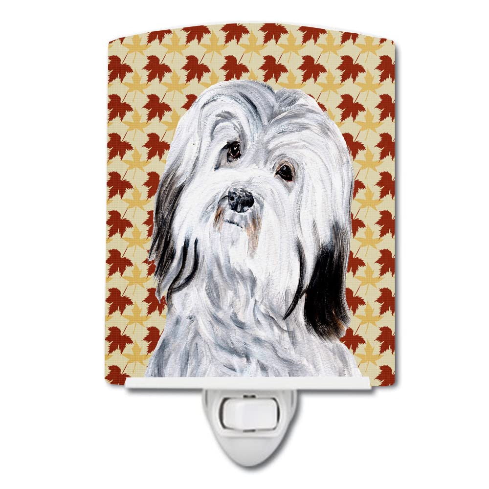 Carolines Treasures Ceramic Night Light, Havanese Design, UL-Certified, 6x4x3 inches, Multicolor, Model SC9689CNL