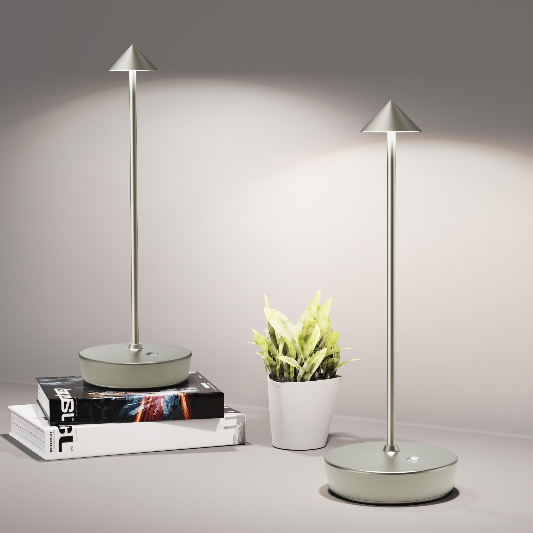 SHANGCAI Cordless Table Lamps, Rechargeable LED Desk Lamp, Waterproof, Touch Dimmable, Set of 2, Small, Silver