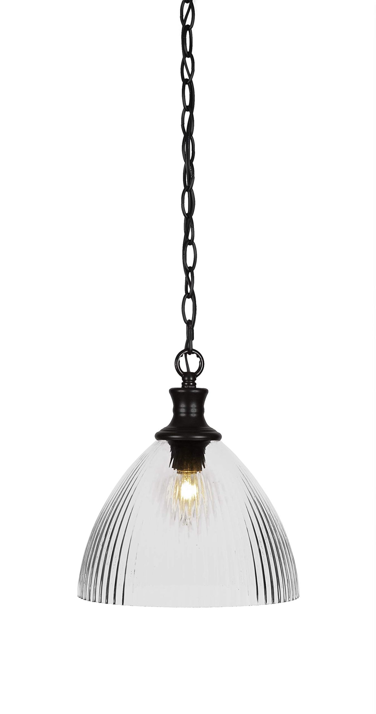 Toltec Lighting Carina 1 Light Pendant in Matte Black (96-MB-4630)