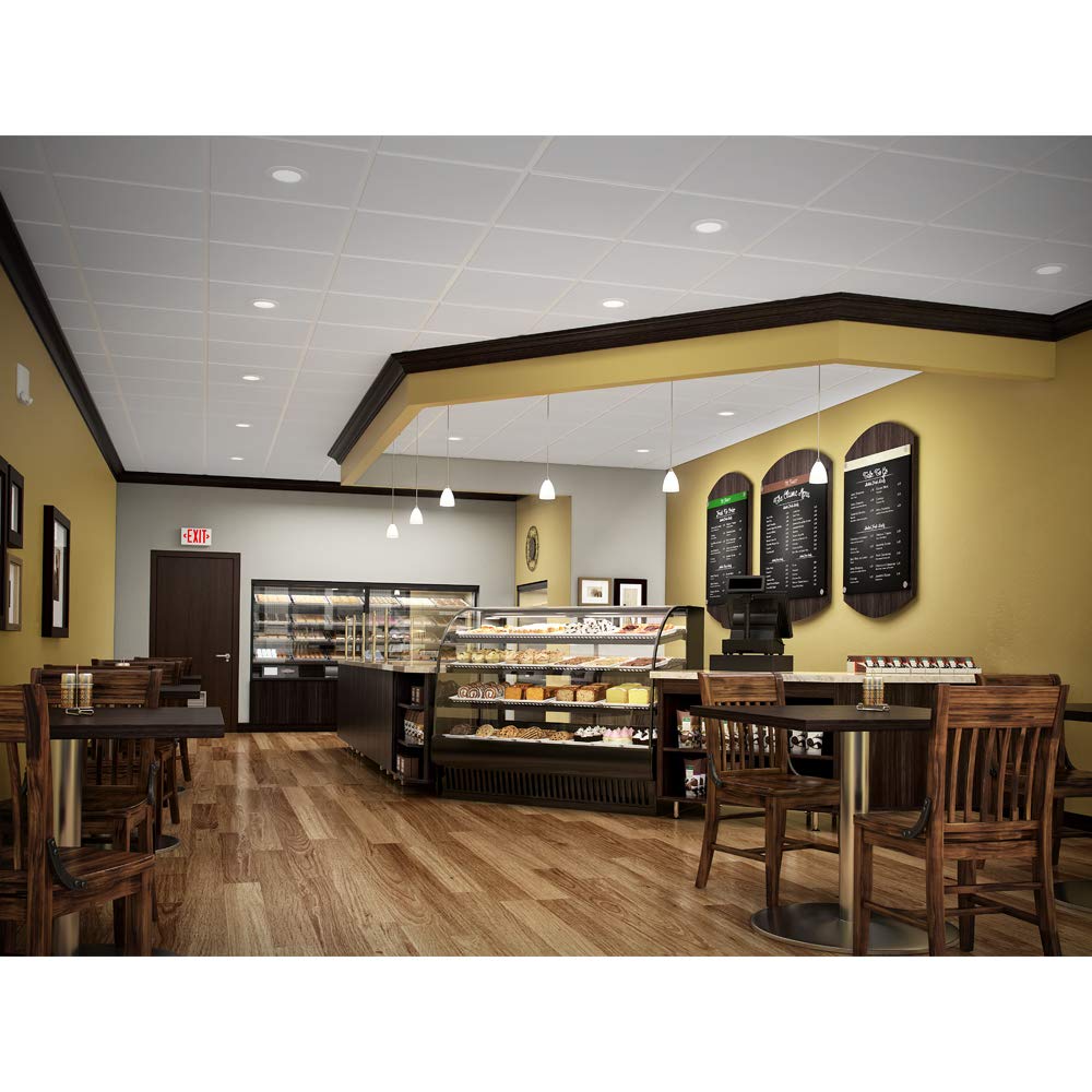 Halo Rl 4 In. White Led Recessed Ceiling Light Fixture, 3000K Soft White, Aluminum Retrofit Baffle Trim, Model Rl460Wh930