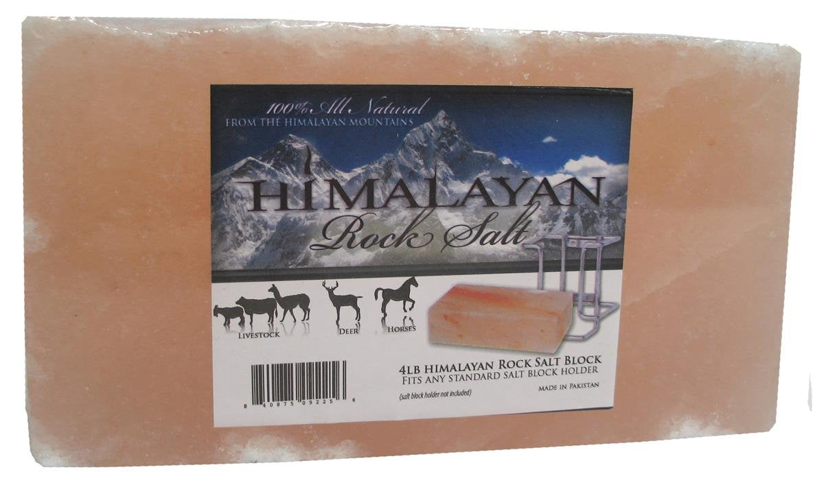 TALISKER BAY Himalayan Salt Brick, 4lb, Ceramic, Model 5-422152