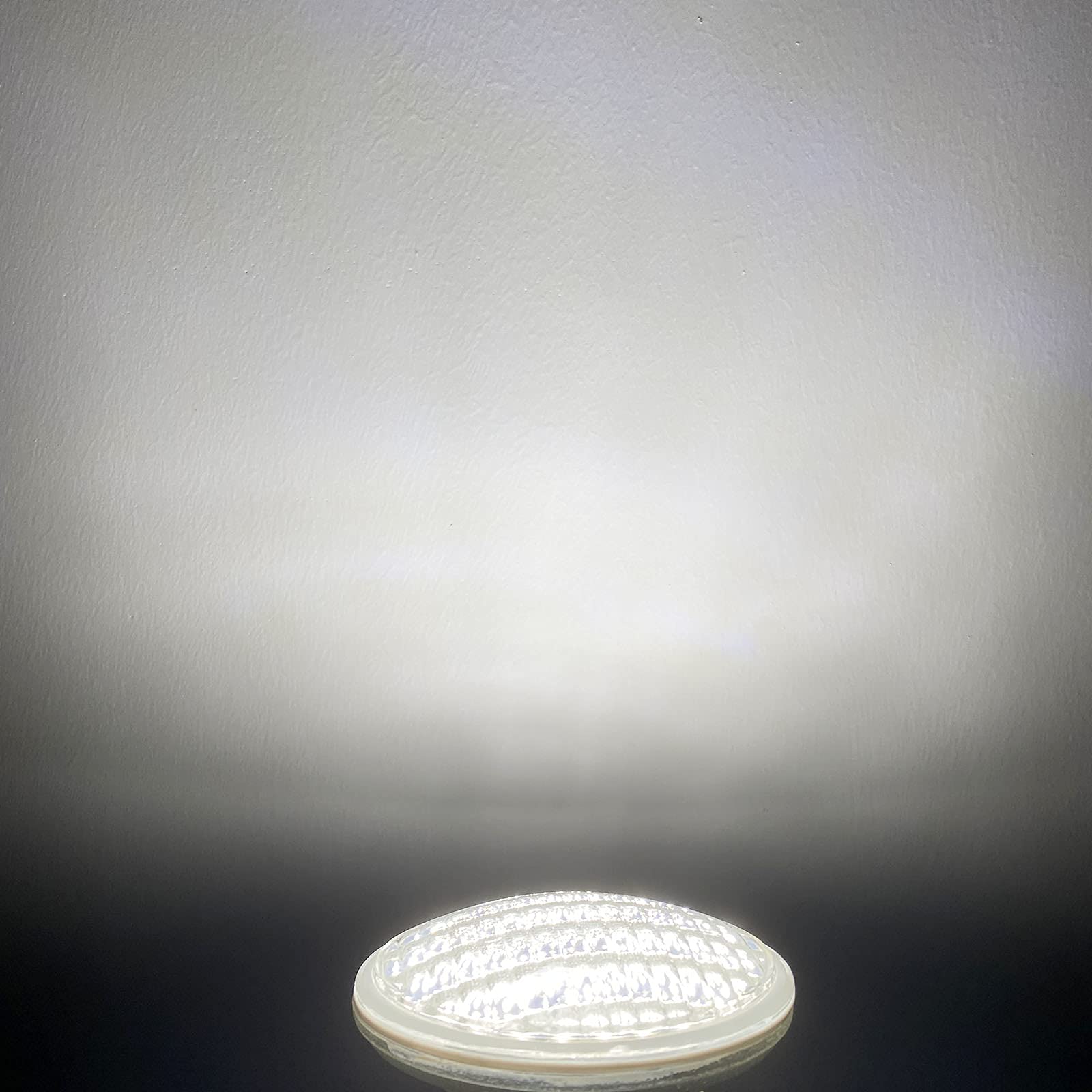 Taysing LED PAR36 Bulb 12W Waterproof IP68 Flood Light Daylight White 2 Pack