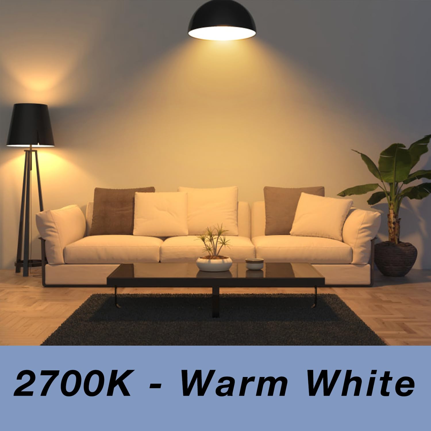 Daybetter 24 Pack A19 Led Light Bulbs, 60 Watt Equivalent Led Bulbs, Long Lifespan High Brightness 800Lm Warm White 2700K, E26 S