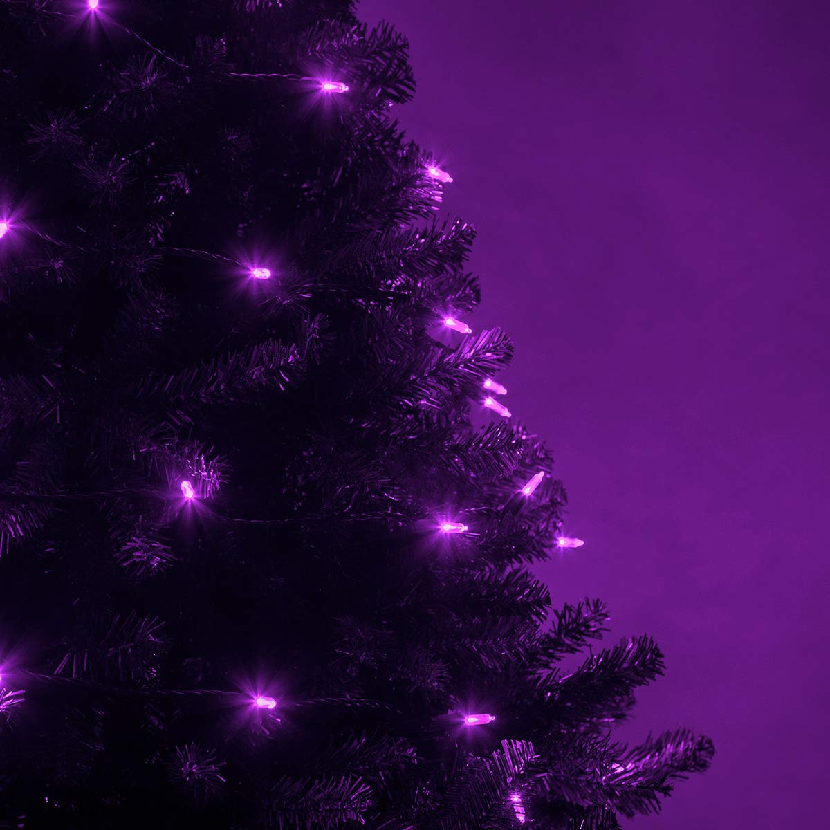Wintergreen Lighting LED Mini String Lights, 50 Purple Lights, 25.5 ft Green Wire, Indoor/Outdoor, Model IOS-2-25-2