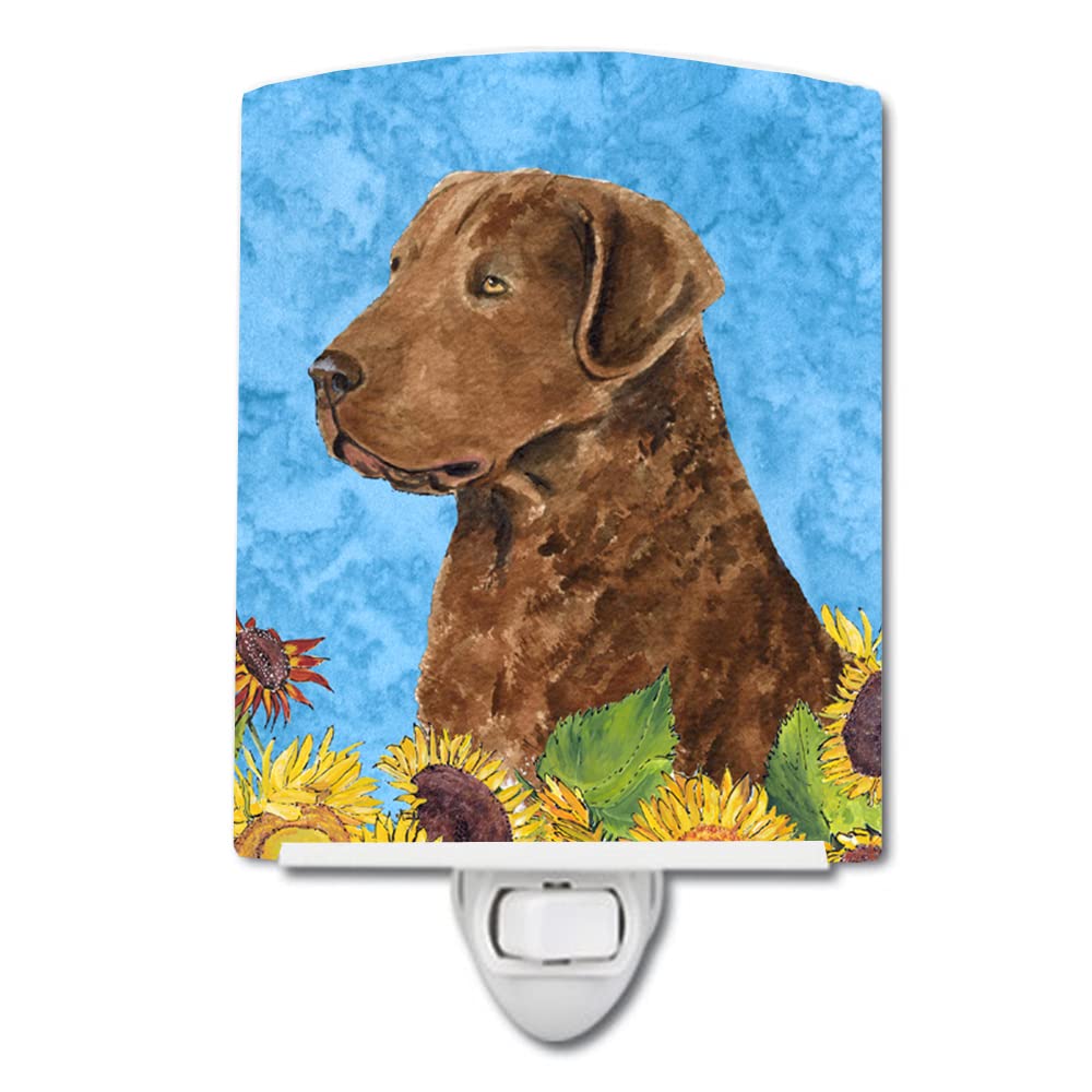 Carolines Treasures Ceramic Night Light, Curly Coated Retriever, 6x4x3in, Model SS4165CNL, Ideal for Bedroom, Bathroom, Nursery, Multicolor