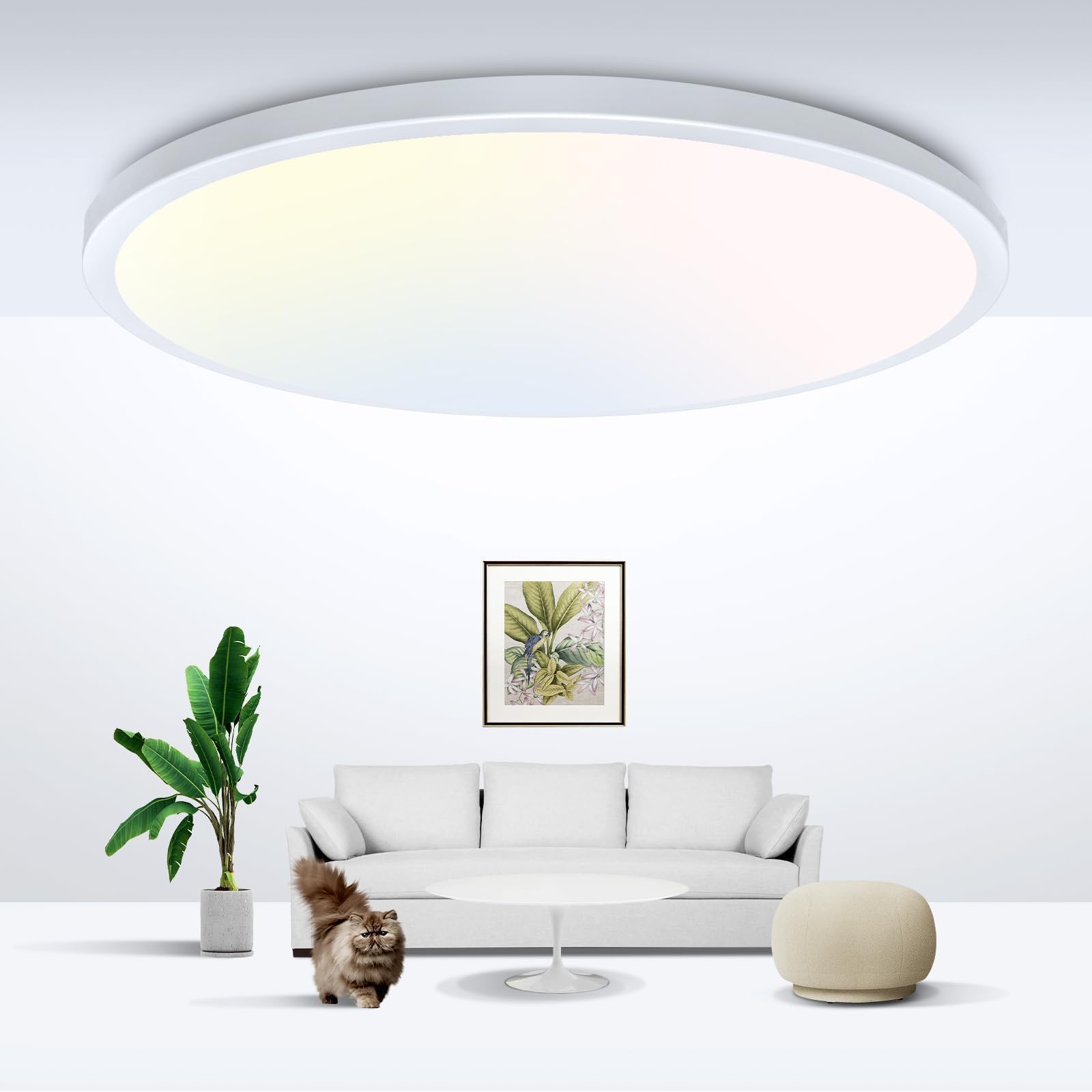 zemty LED Ceiling Light Flush Mount Super Slim 9 Inch 24W 2400lm Ceiling Lights with 3 Color Temperature in One 3000k/4500k/6000
