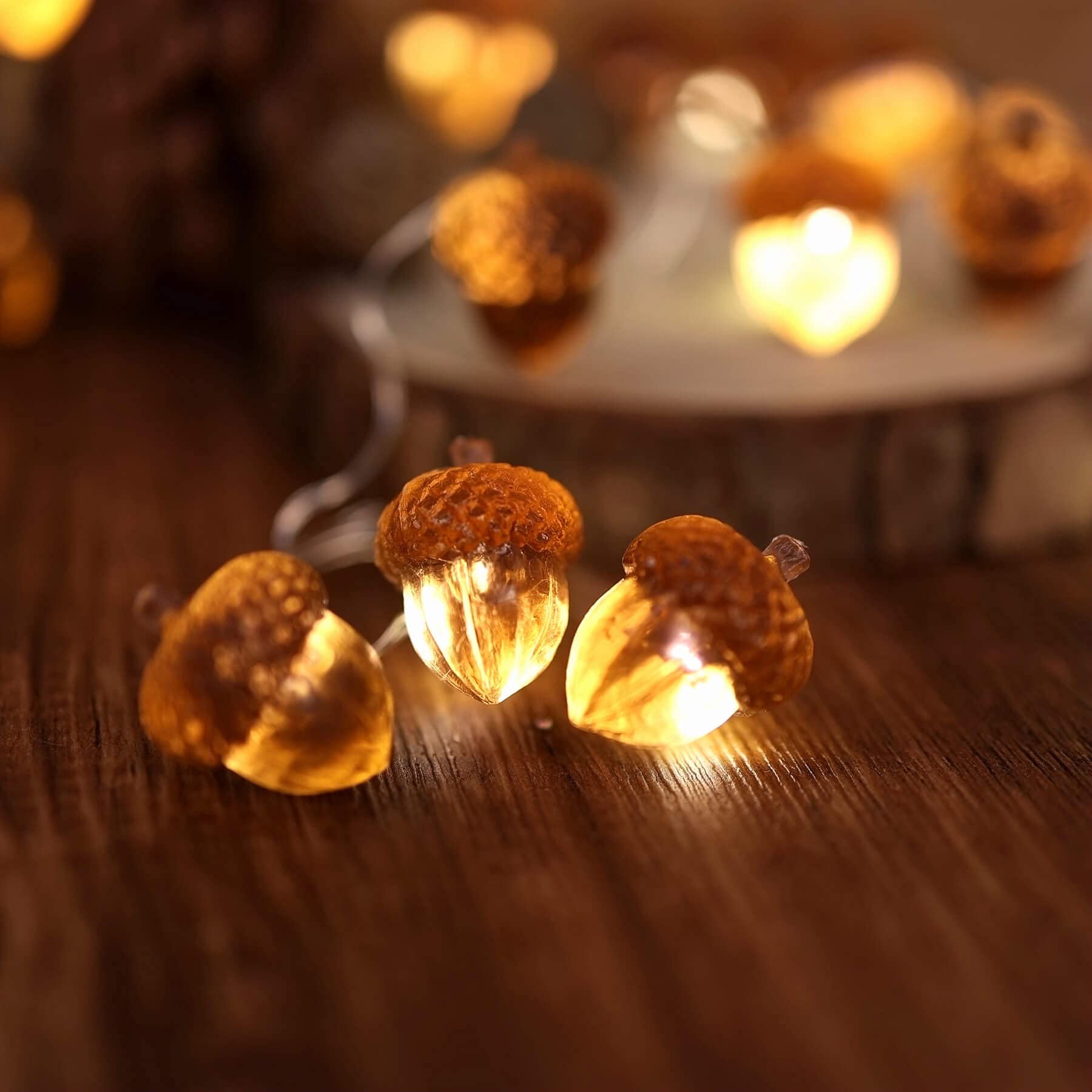 Thanksgiving Acorn Lights Fall Garland Decorative Fairy String Light Cute Novelty Lights 30 LEDs 10 ft USB or Battery Operated f