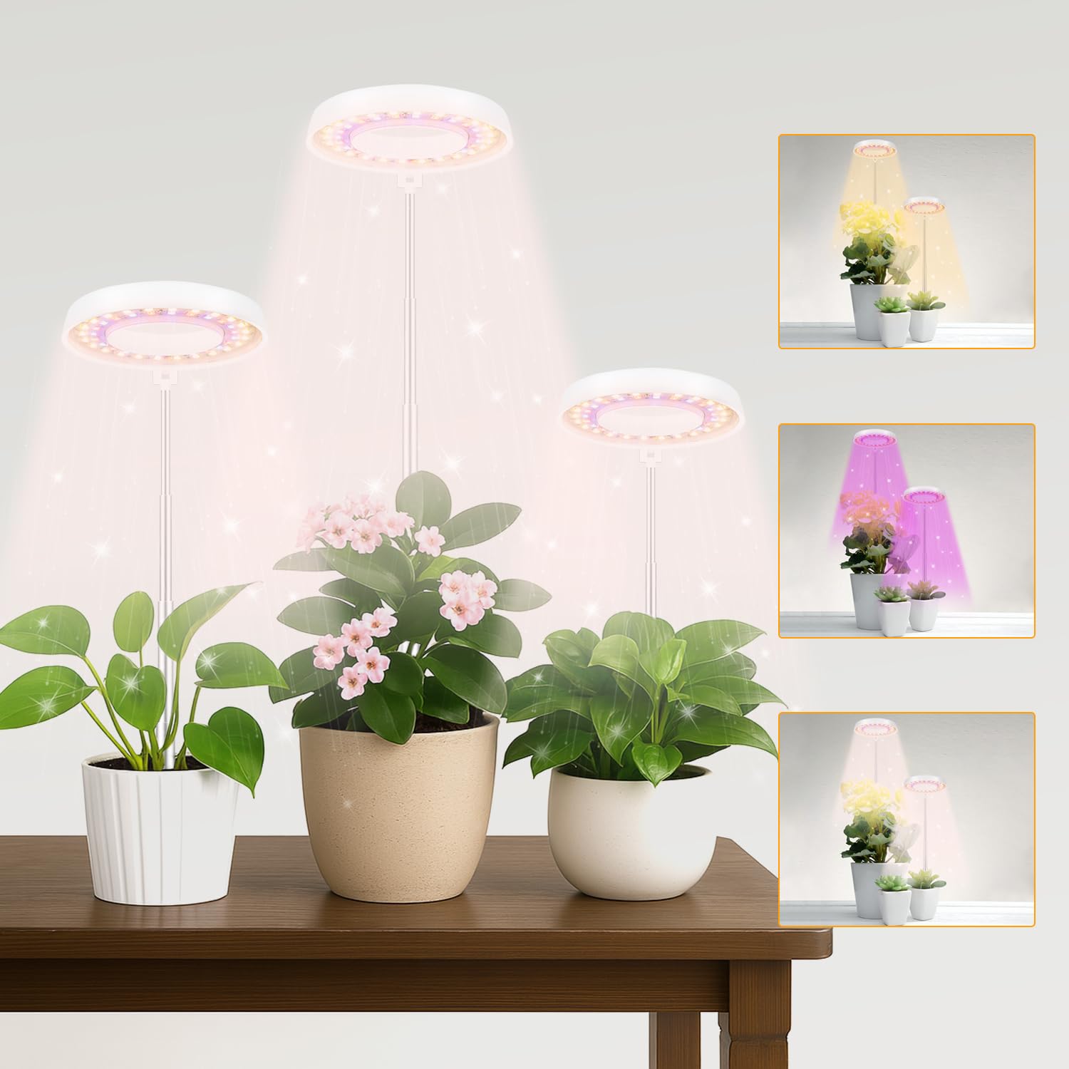 GooingTop LED Grow Light, Halo Plant Growing Lamp for Indoor Plants Growth, Full Spectrum Low Light for Small Plants,Timer 4/8/1