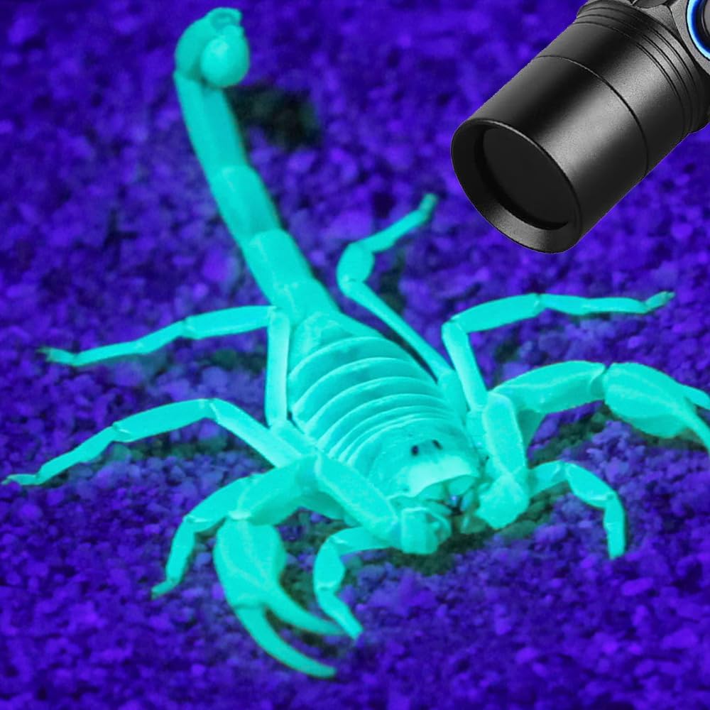 I0DO Rechargeable Blood Tracking Flashlight for Hunting at Night