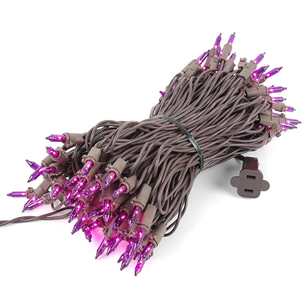 Novelty Lights 50 Feet 100 Bulbs Traditional Incandescent Mini Lights, Purple On Brown Wire With 6 Spacing, Commercial Grade And