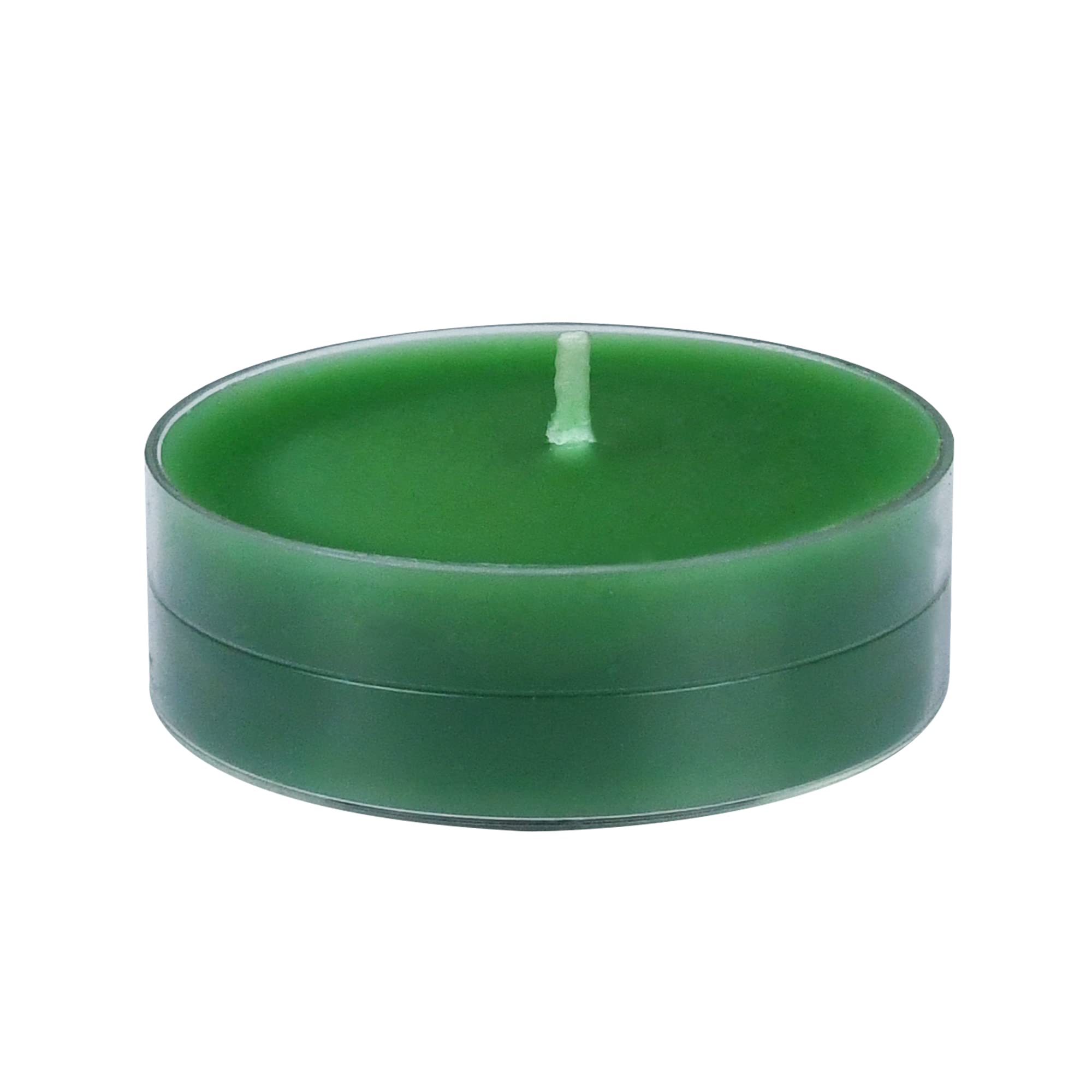 Zest Candle 12-Piece Tealight Candles, Mega Oversized Hunter Green S