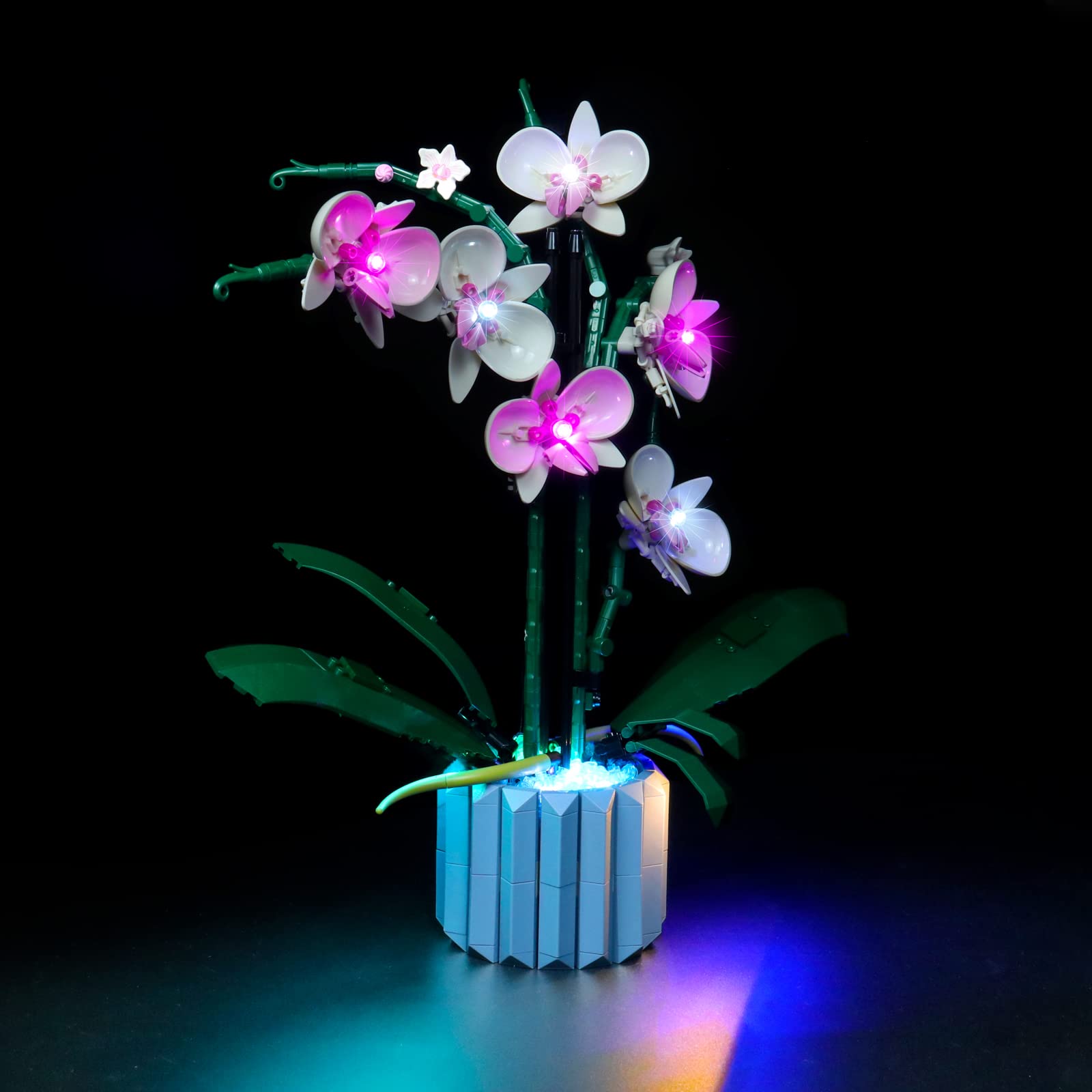 LED Light Kit for Lego Orchid 10311 Plant Decor Building Set; Decoration Lights Build a Succulents Display Piece for The Home or