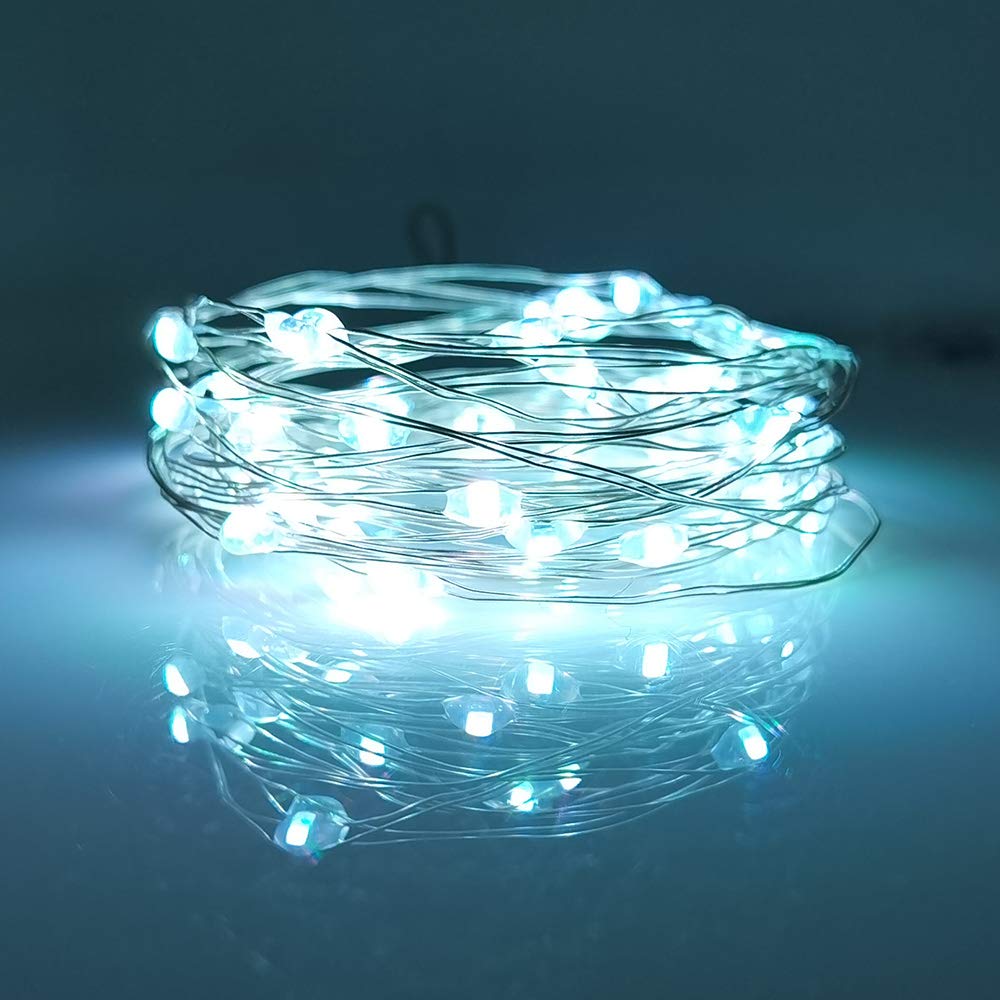 LIIDA LED String Lights, 10-Pack, 20 Micro Lights, 6.6FT, Silver Copper Wire, Cool White, Model SL-10CW