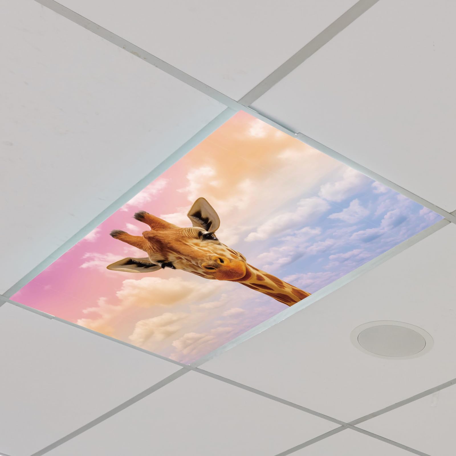 Outus 4 Pcs Fluorescent Light Cover Classroom Lighting Cover with 10 Magnets Light Filter Magnetic Ceiling Panel Decoration 2 x 