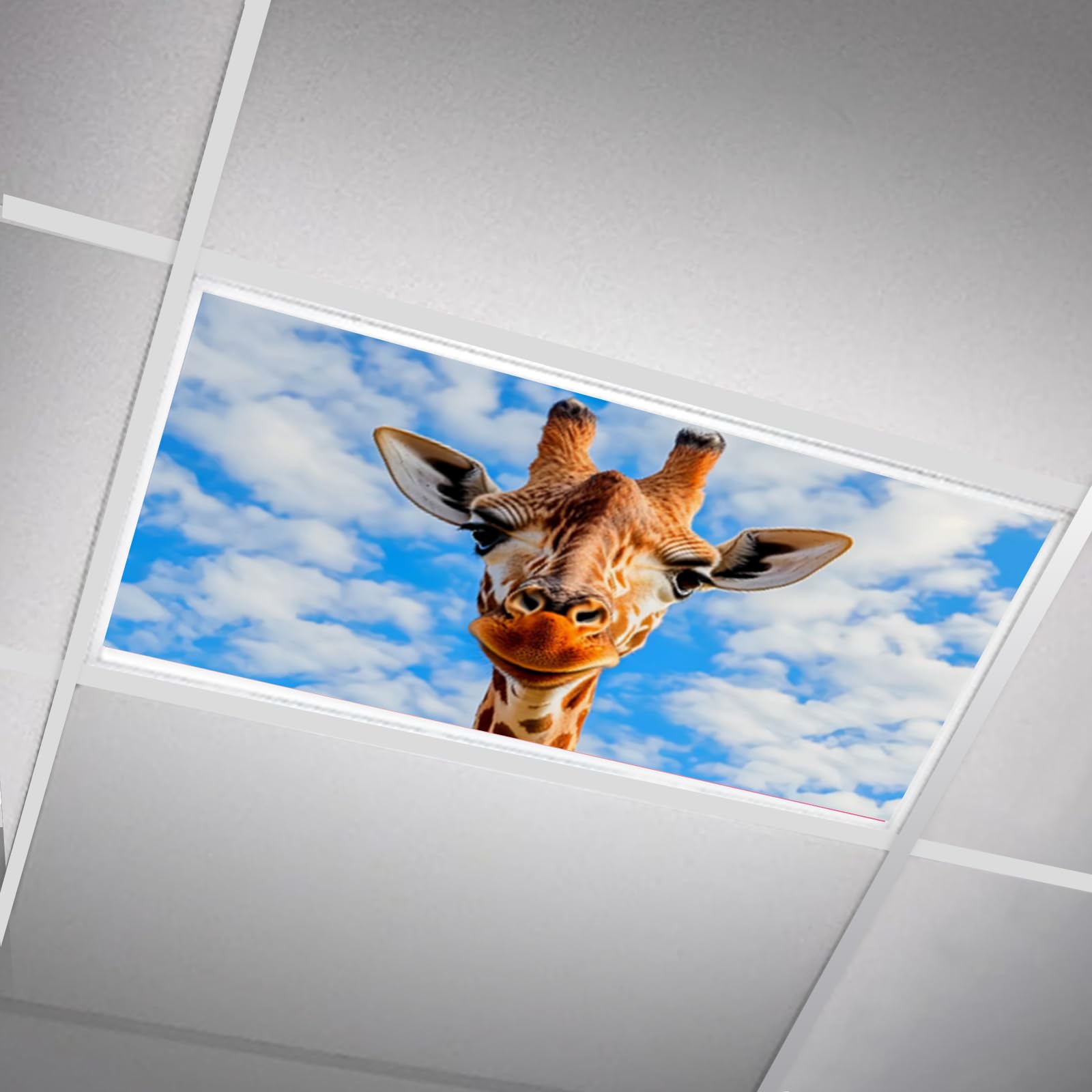 SCWISOAS Fluorescent Light Covers for Ceiling Lights -Magnetic Cloud Cover for Fluorescent Or LED Fixture 2ft x 4ft Classroom,Ho