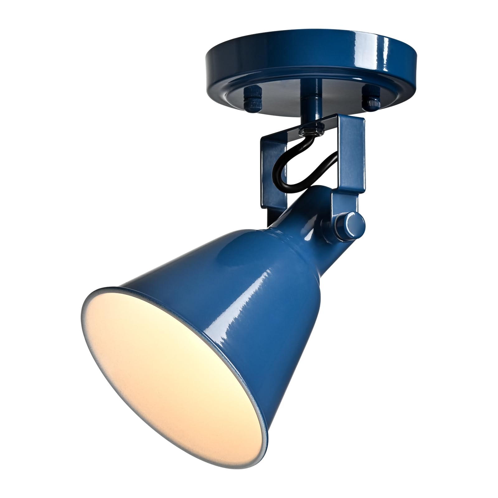 DIRYZON 1-Light Adjustable Blue Spotlight, Semi Flush Mount Track Light Ceiling Light Fixture for Bedroom, Kitchen, Hallway & Wa