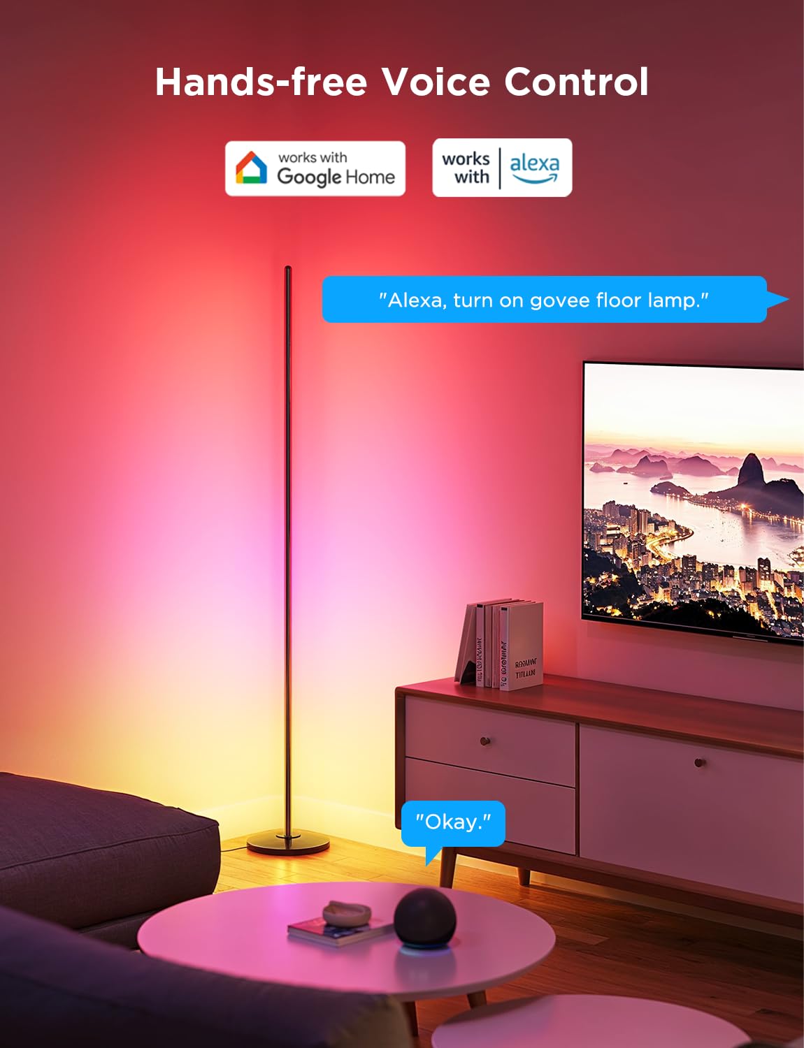 Govee Rgbic Floor Lamp 2-Pack, Led Lamp Compatible With Alexa, Smart Standing Lamp With Voice Control, Color Changing Bedside La