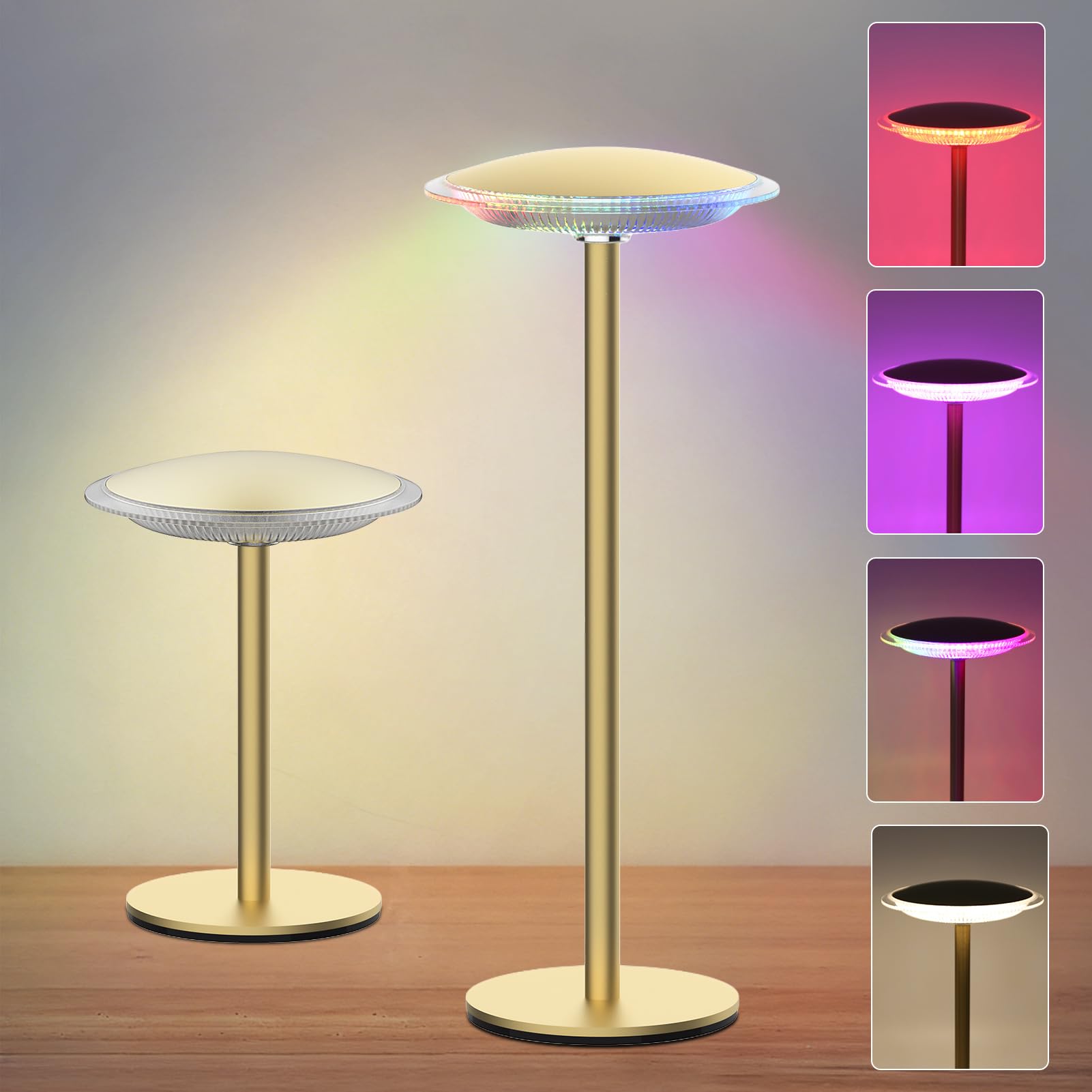 Qeeanmo LED Cordless Table Lamp Rechargeable Battery Desk lamp Brightness Dimmable Portable Night Light for Reading/Couple Dinner/Coffee Table/Restaurant/Bedroom Nightstand for Home D?cor (2 Pack)