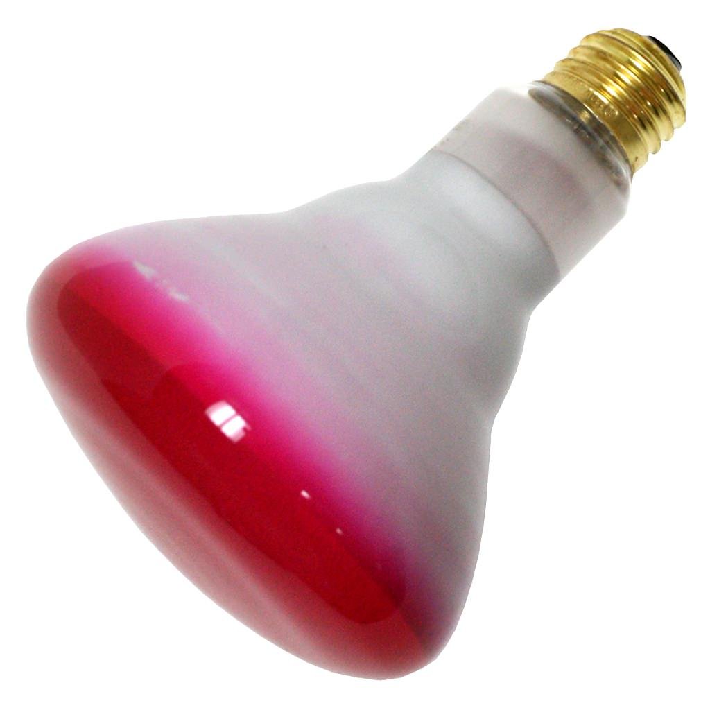 Bulbrite Incandescent Br30 Medium Screw Base (E26) Light Bulb, 75 Watt, Pink