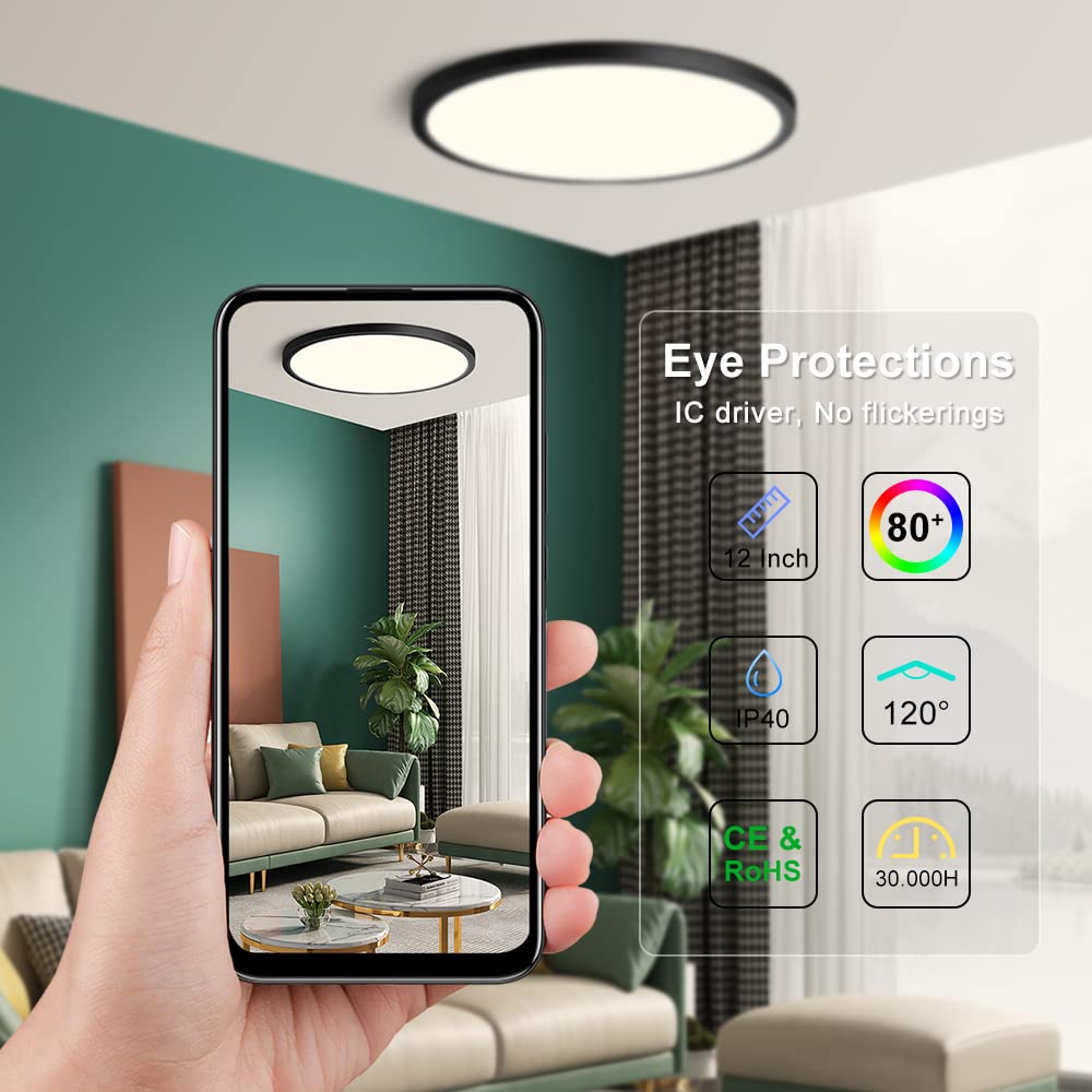 LEDLightsWorld 12 Inch LED Ceiling Light Flush Mount 4000K Neutral White 24W Black Low Profile Model LM-XDD-US-24W-NW-1P-B