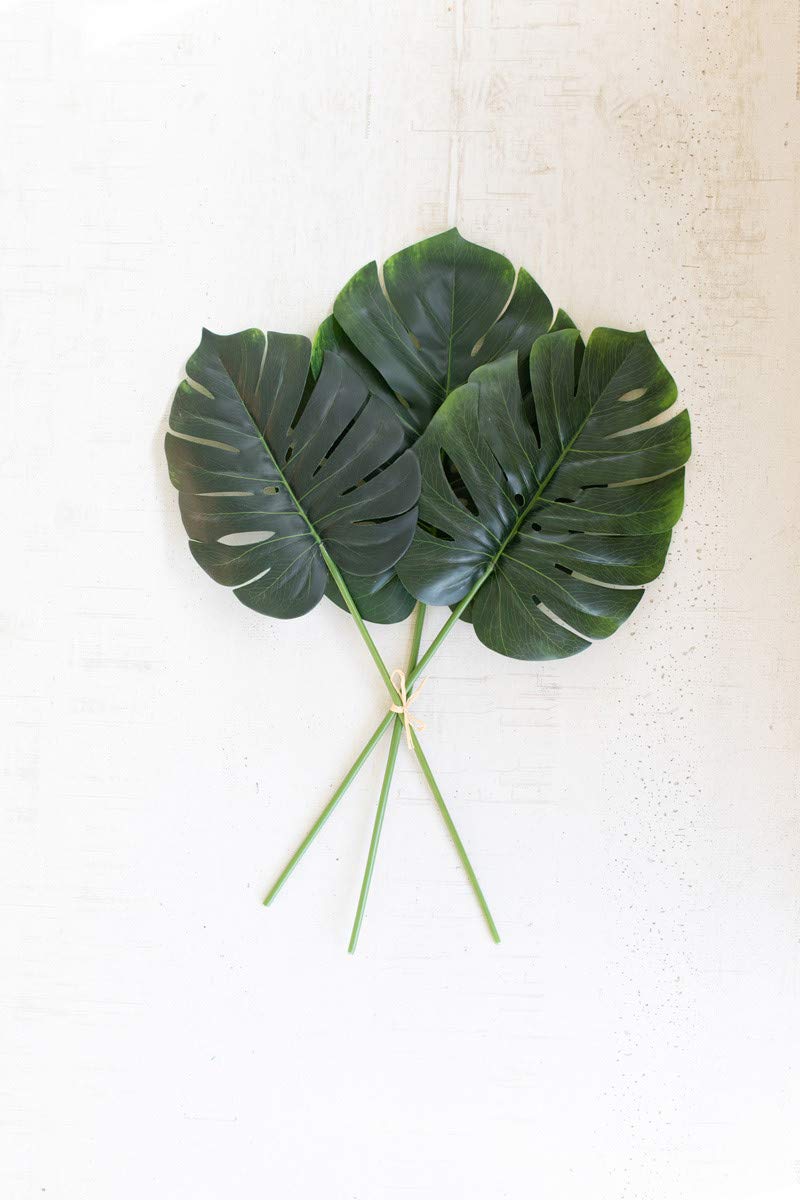 Kalalou Csl2362 Monstera Leaf Bundle, See Image