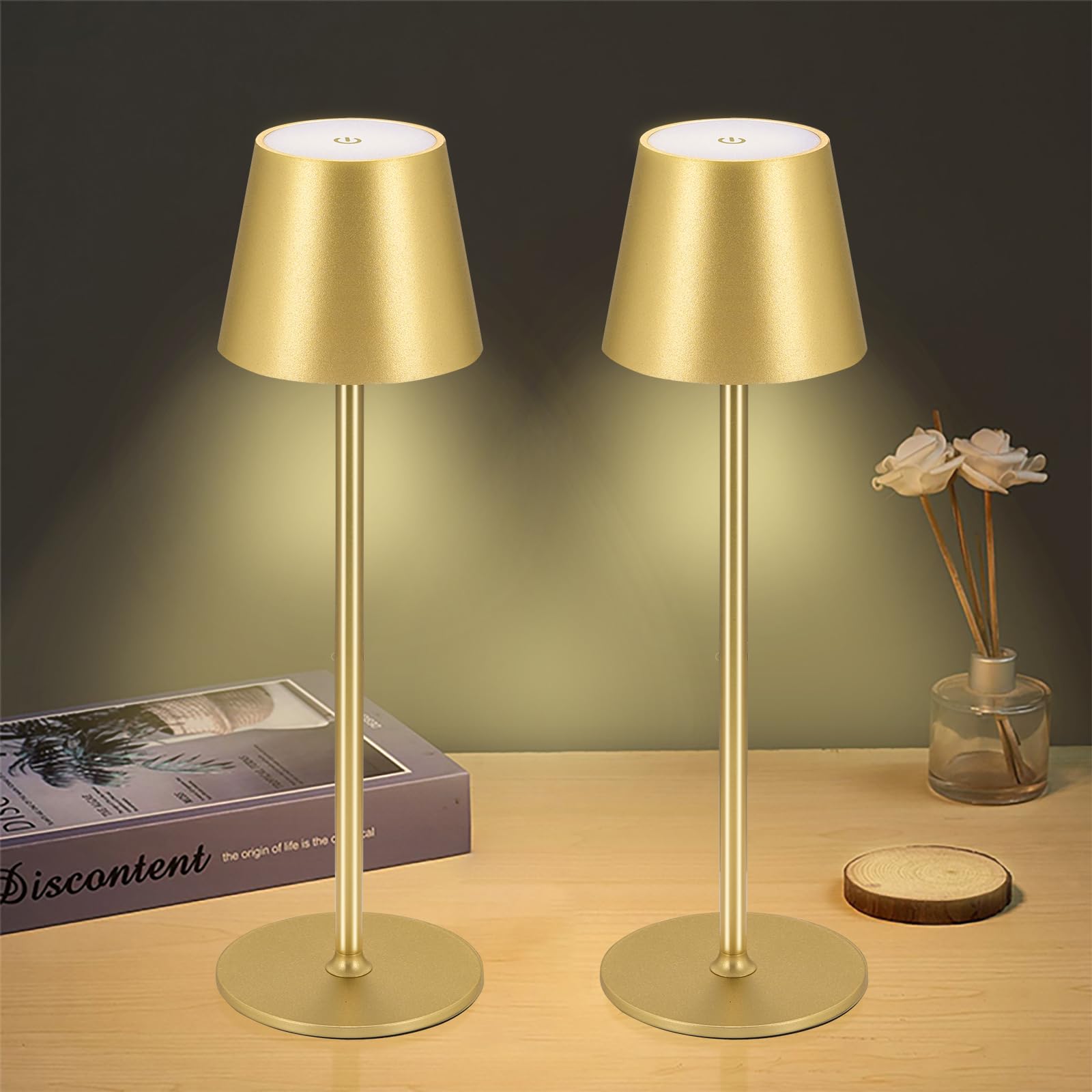IMQSQIK Cordless Table Lamps USB Rechargeable LED Touch Control 2Pcs Gold