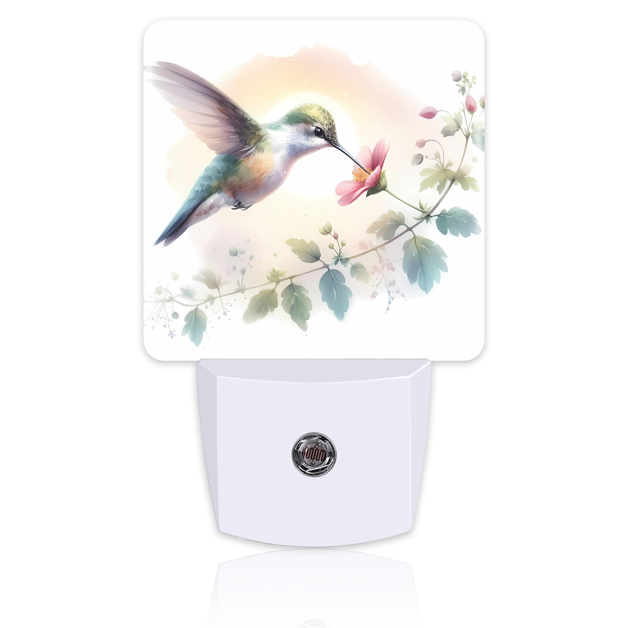 Groovy Hummingbird Flower Night Light for Kids, Watercolor Floral Bird Night Light Plug in with Dusk to Dawn Sensor, 0.5w Energy