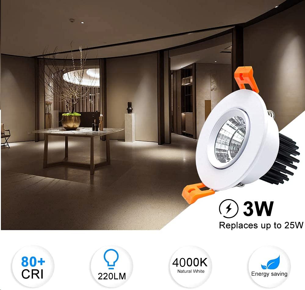Inshareplus 2 Inch Led Downlight, 3W Recessed Lighting Cob Dimmable, 4000K Natural White, Cri80, Led Ceiling Lights With Led Dri